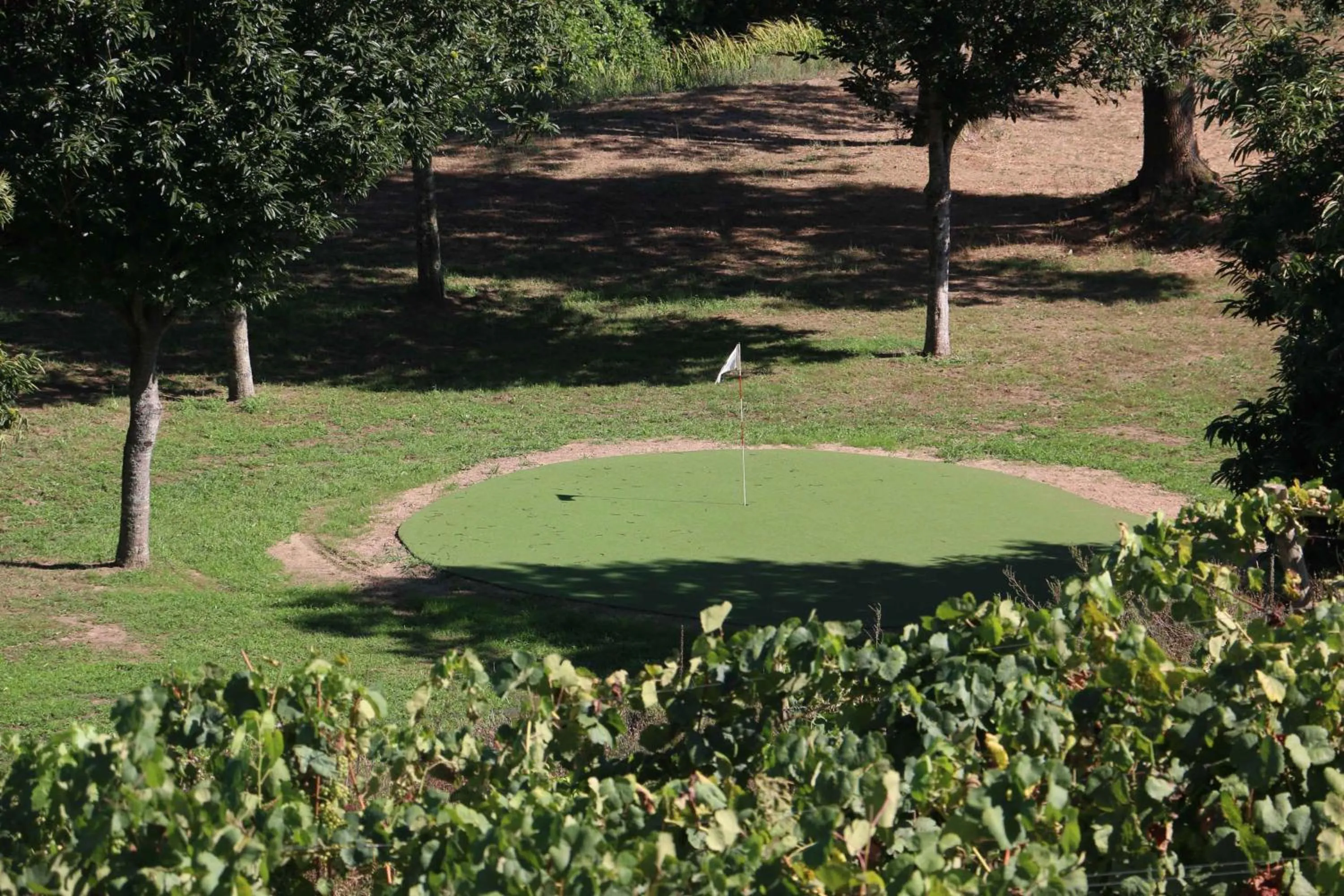 Natural landscape in Terra Rosa Country House & Vineyards