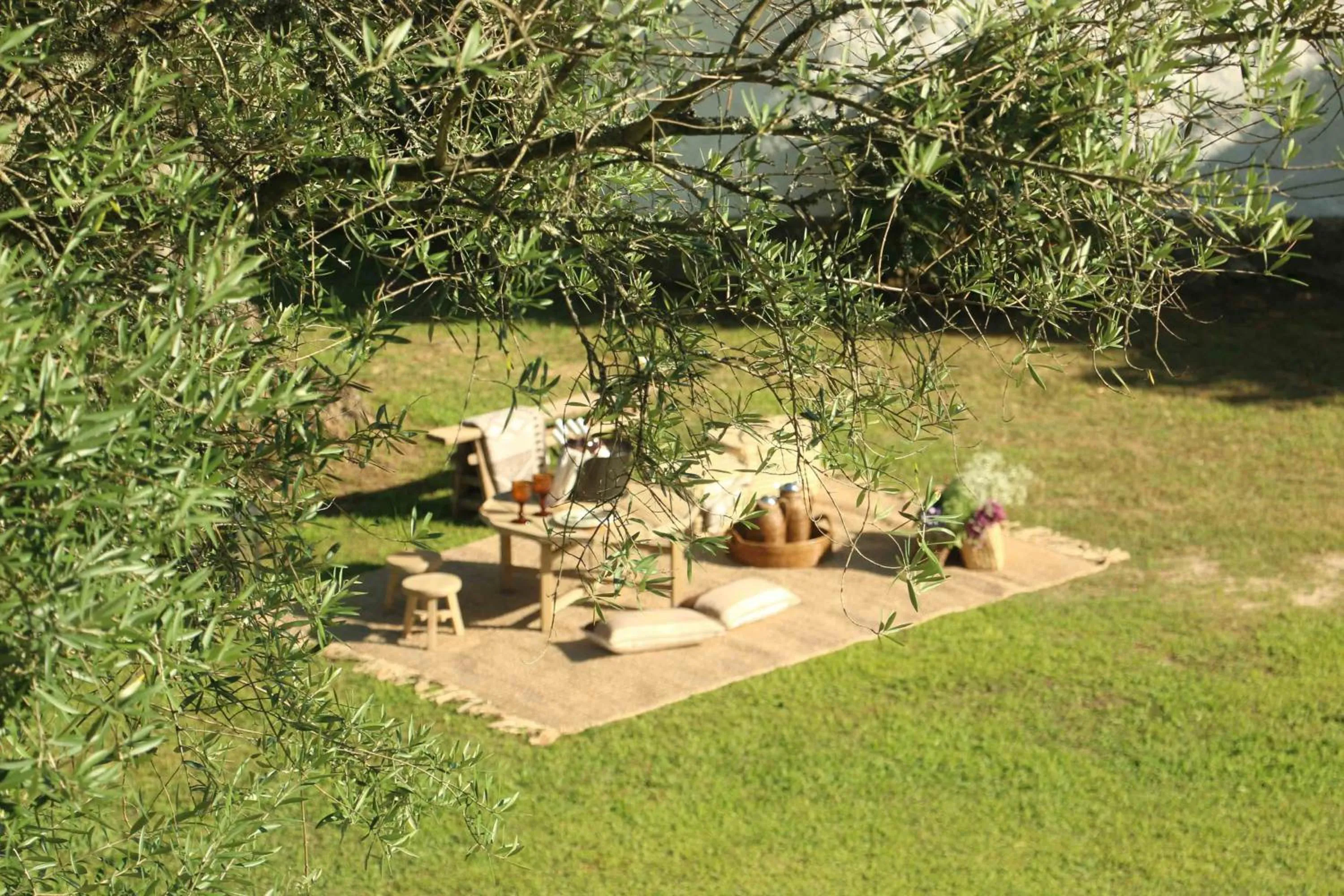 Patio in Terra Rosa Country House & Vineyards
