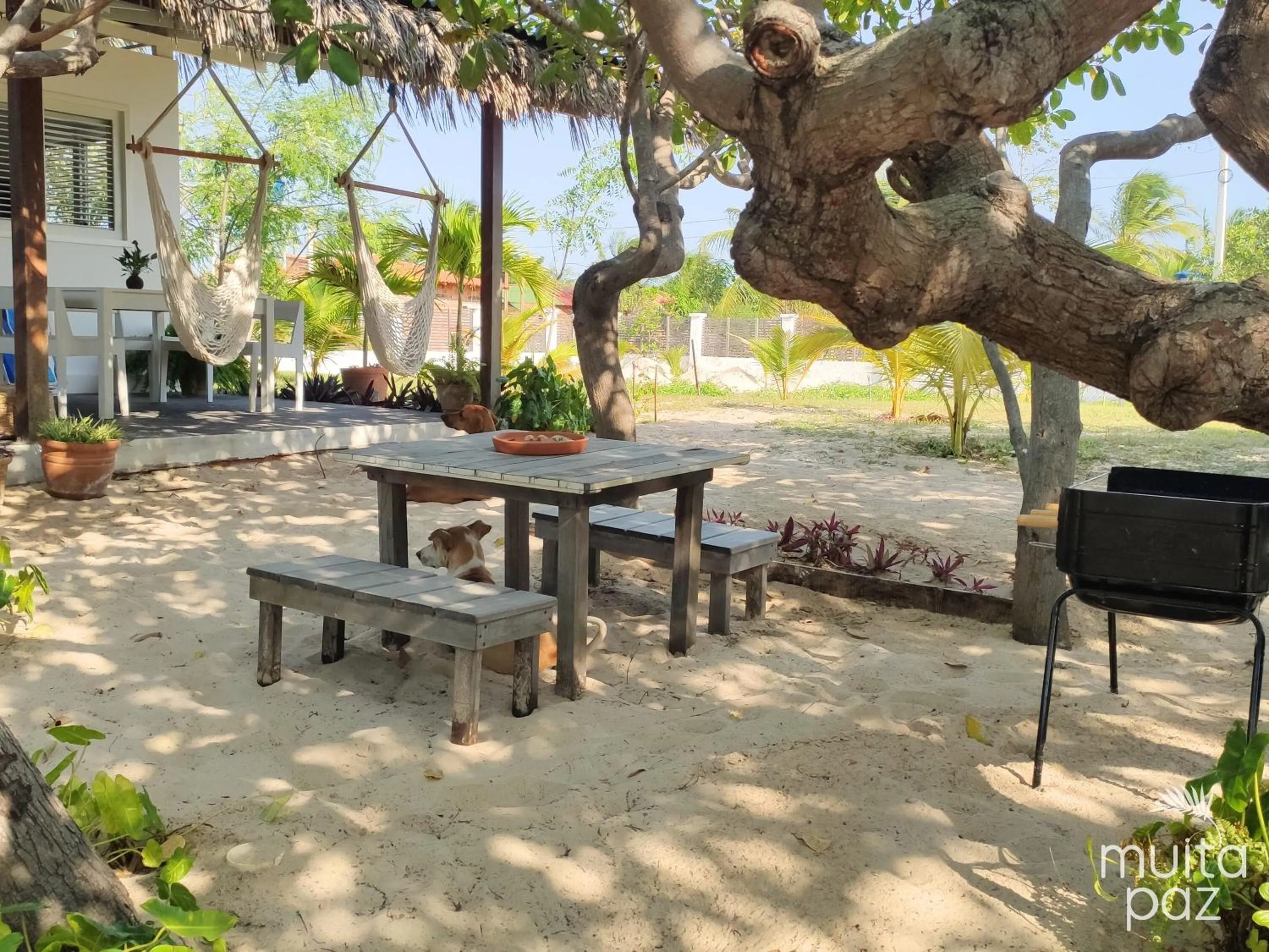 Patio in Casa Mais Amor
