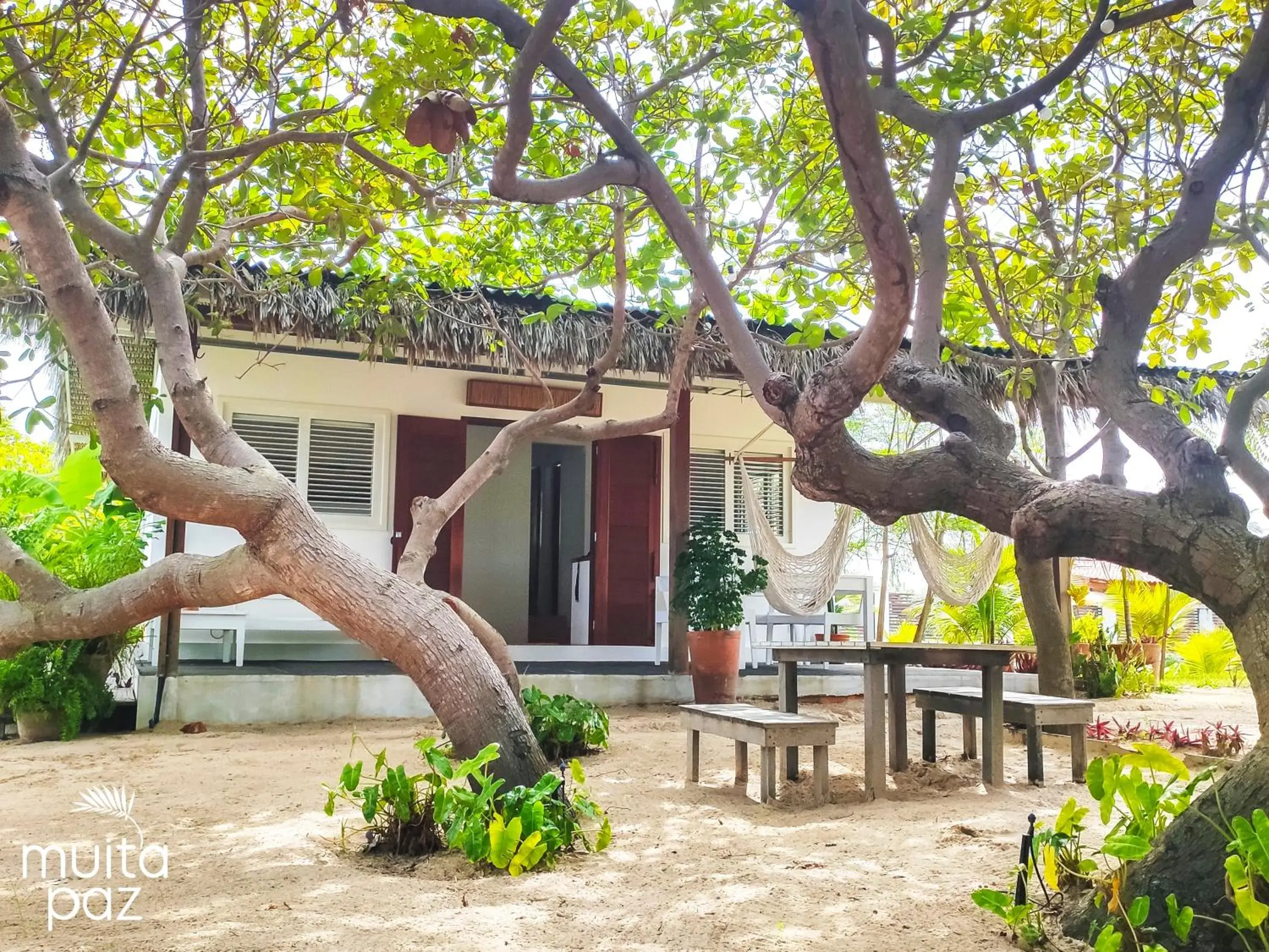 Casa Mais Amor Casa Mais Amor