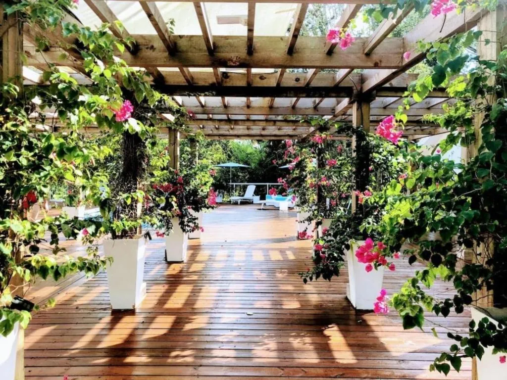 Other in Orchid Estates