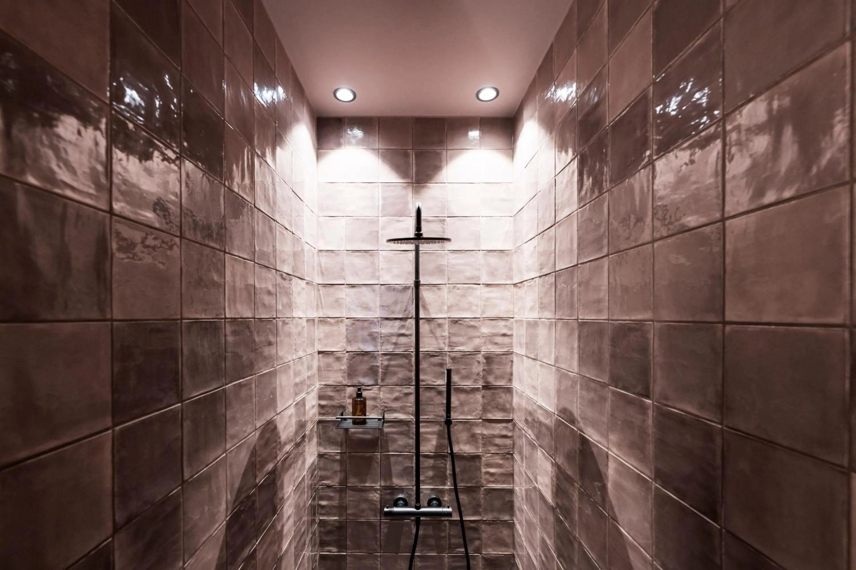 Shower in Altstadthotel Weisses Kreuz