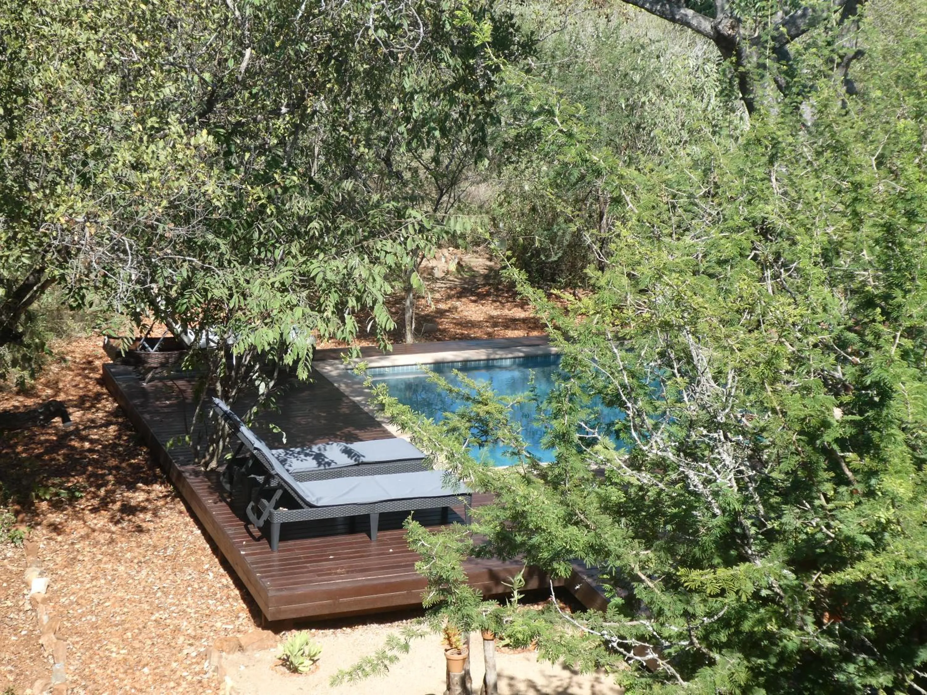Swimming pool in Gem In The Bush Lodge