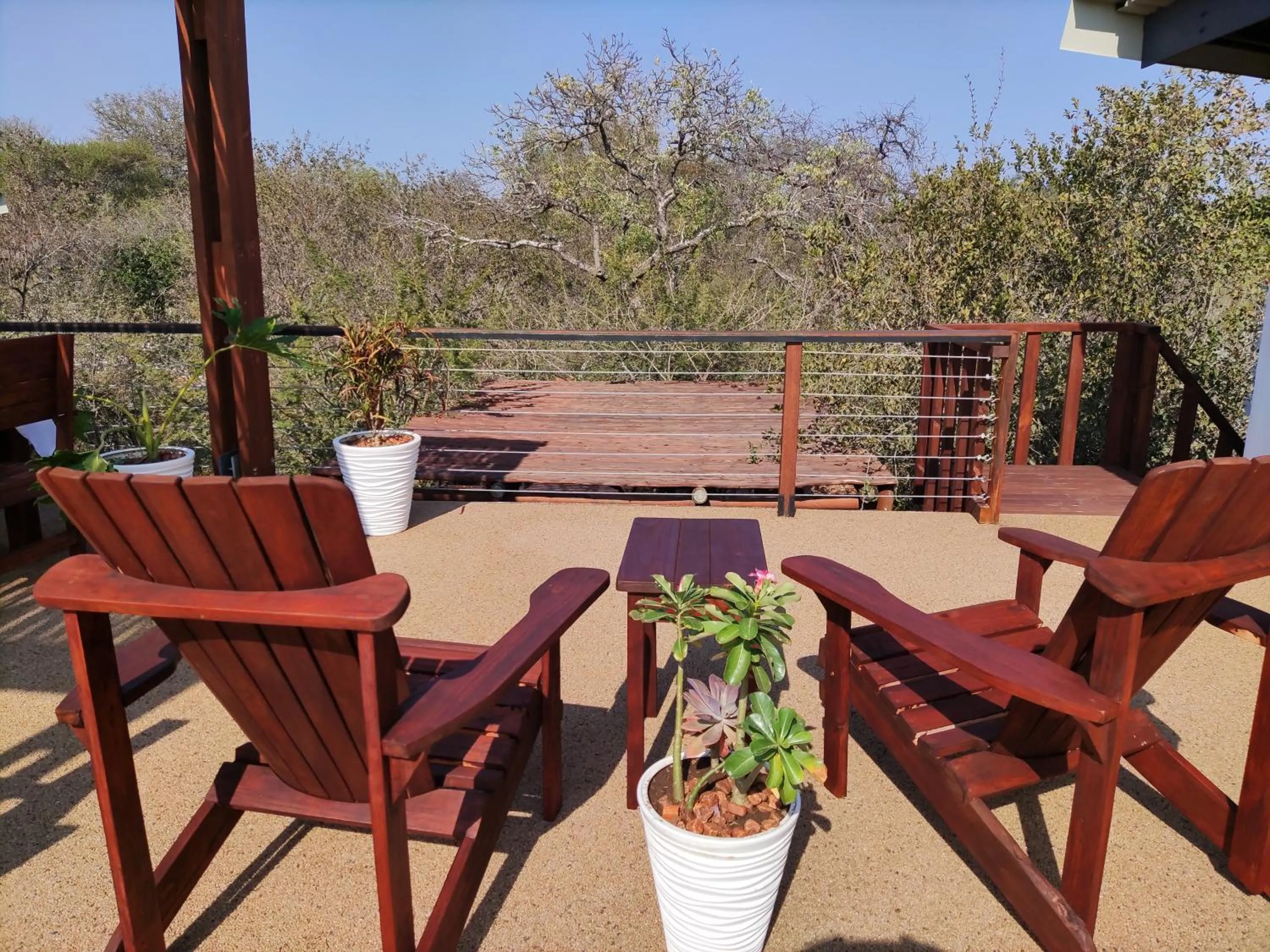 View (from property/room) in Gem In The Bush Lodge