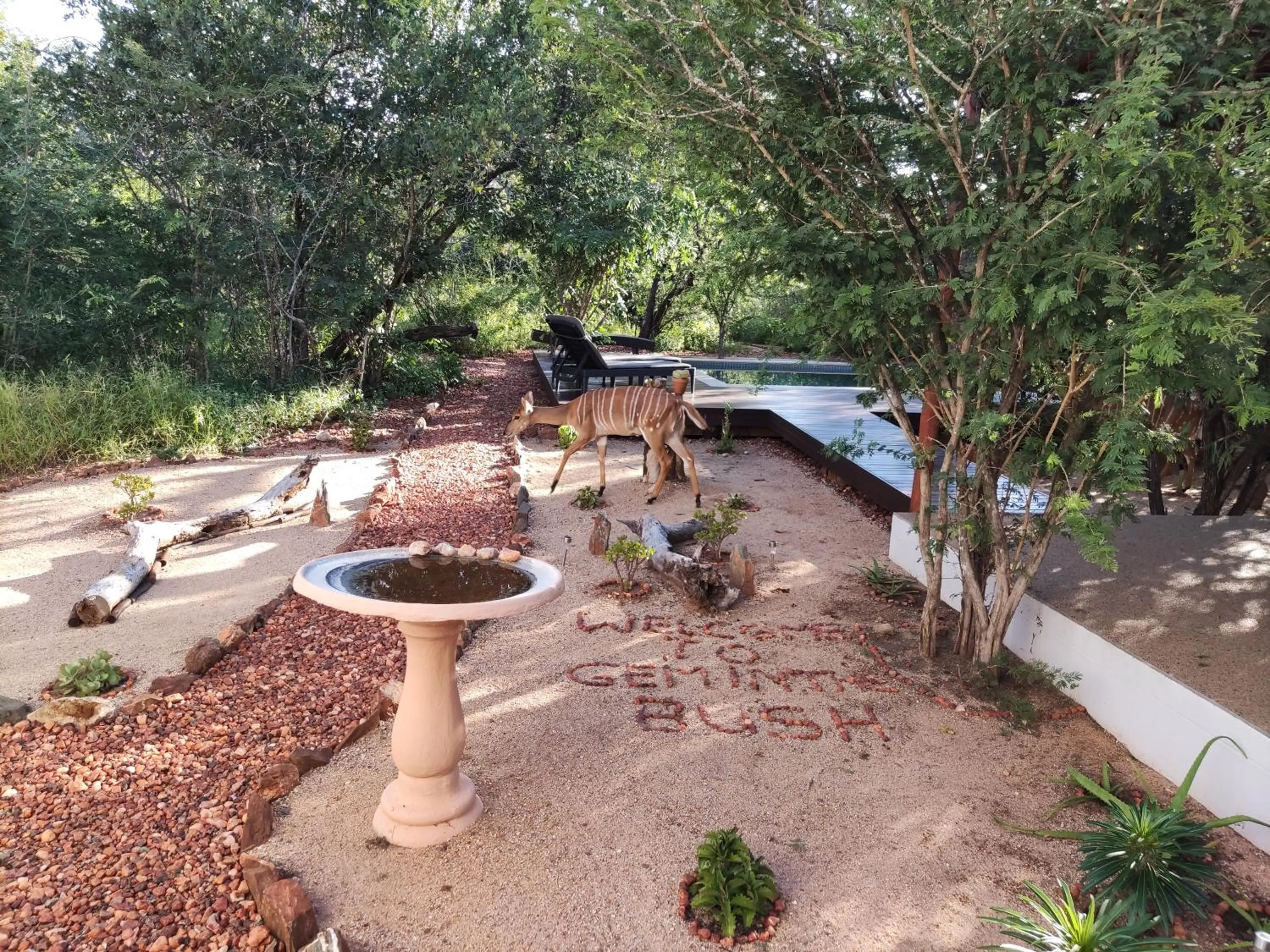 Gem In The Bush Lodge