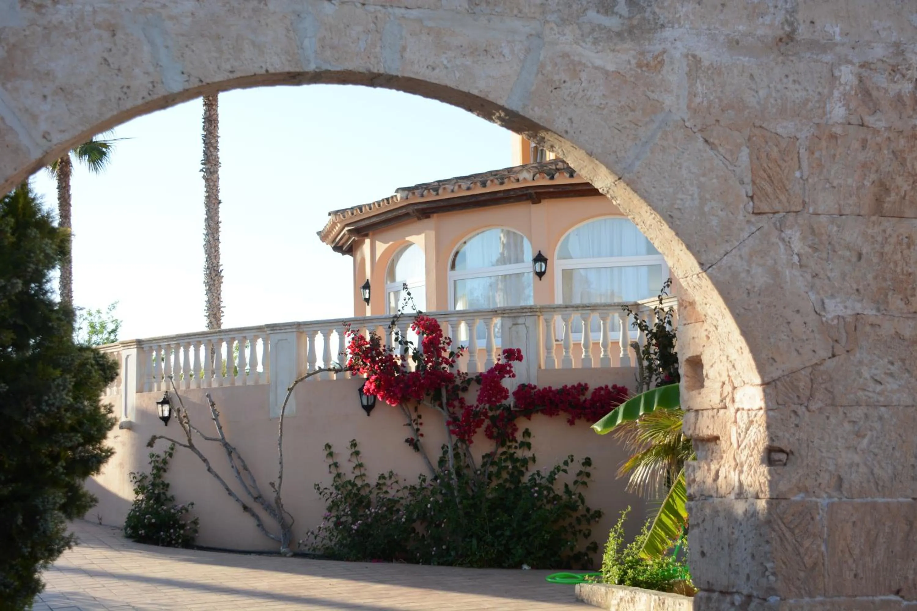 Garden in Arenas de Son Bou