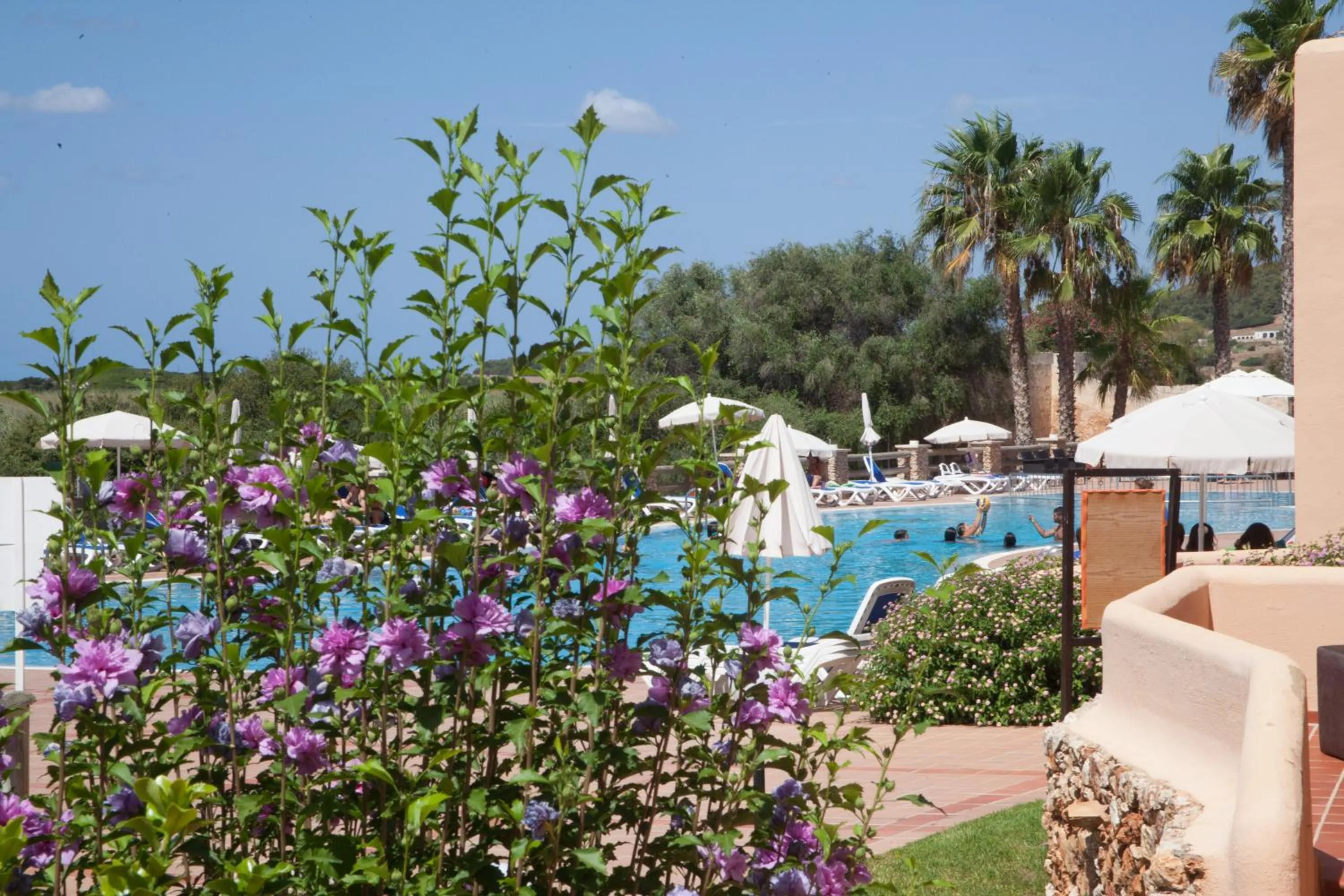 Pool view in Arenas de Son Bou