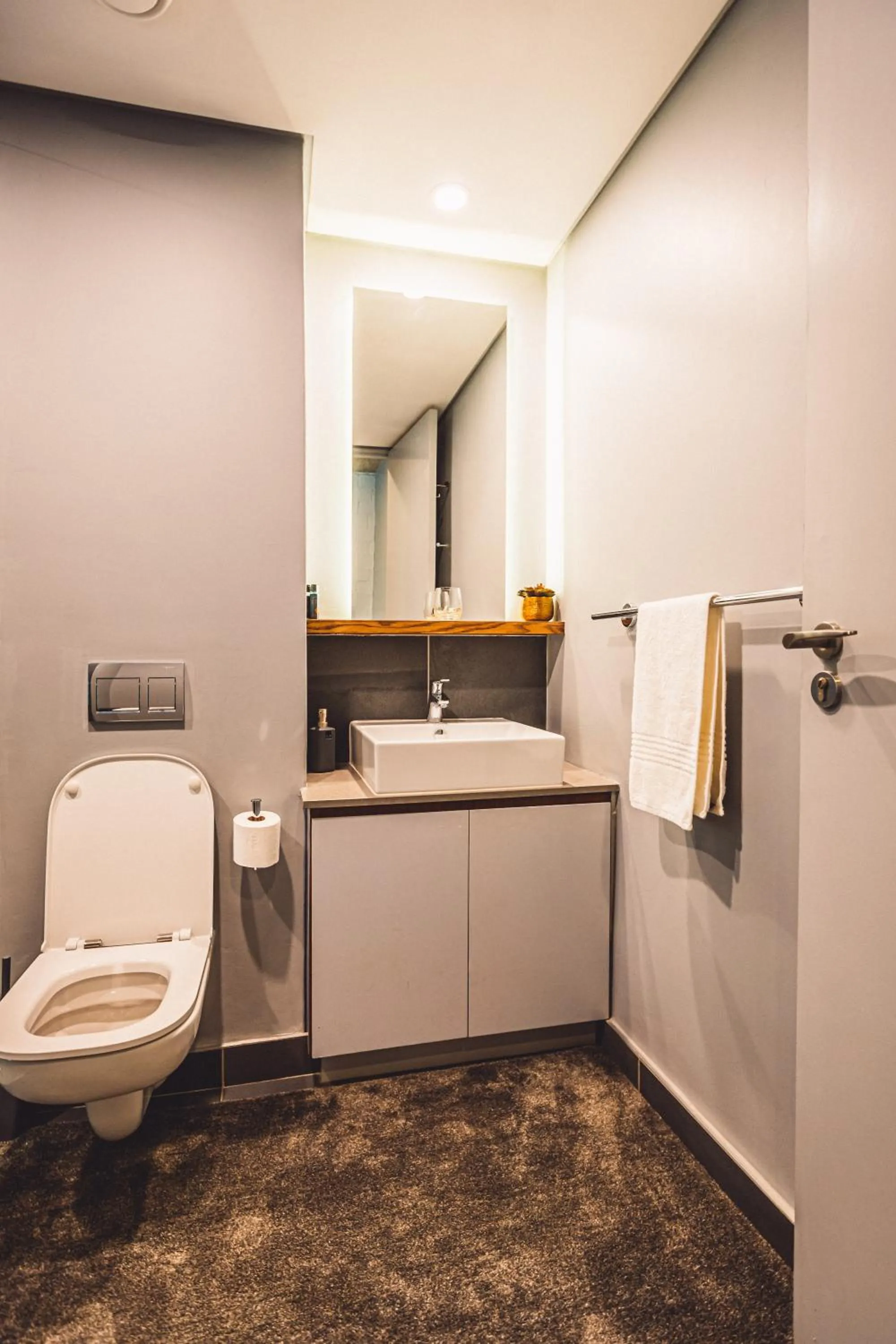 Toilet in Umhlanga Arch Properties