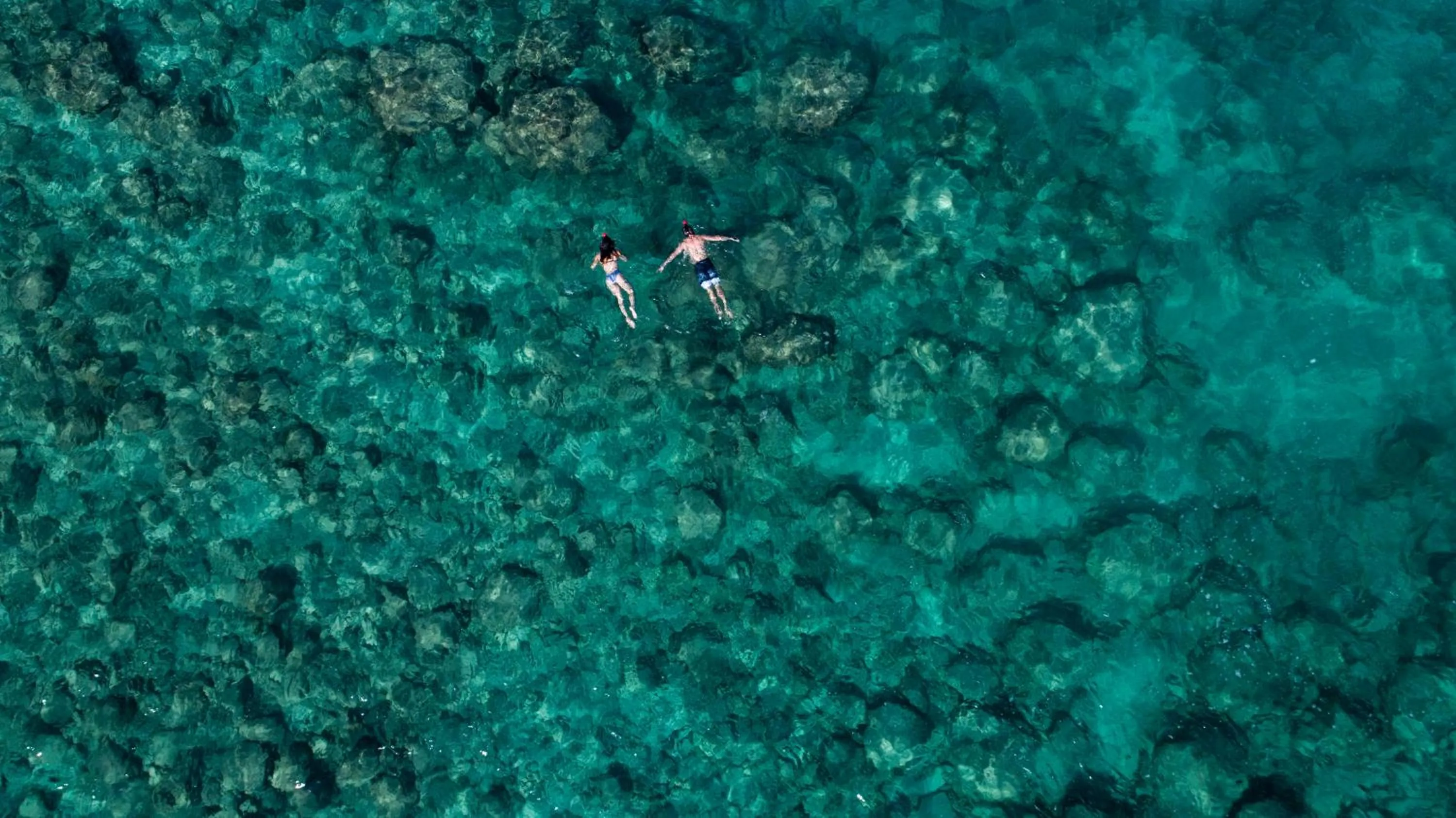 Snorkeling in NIHI Sumba - 50 Best Hotels of the World