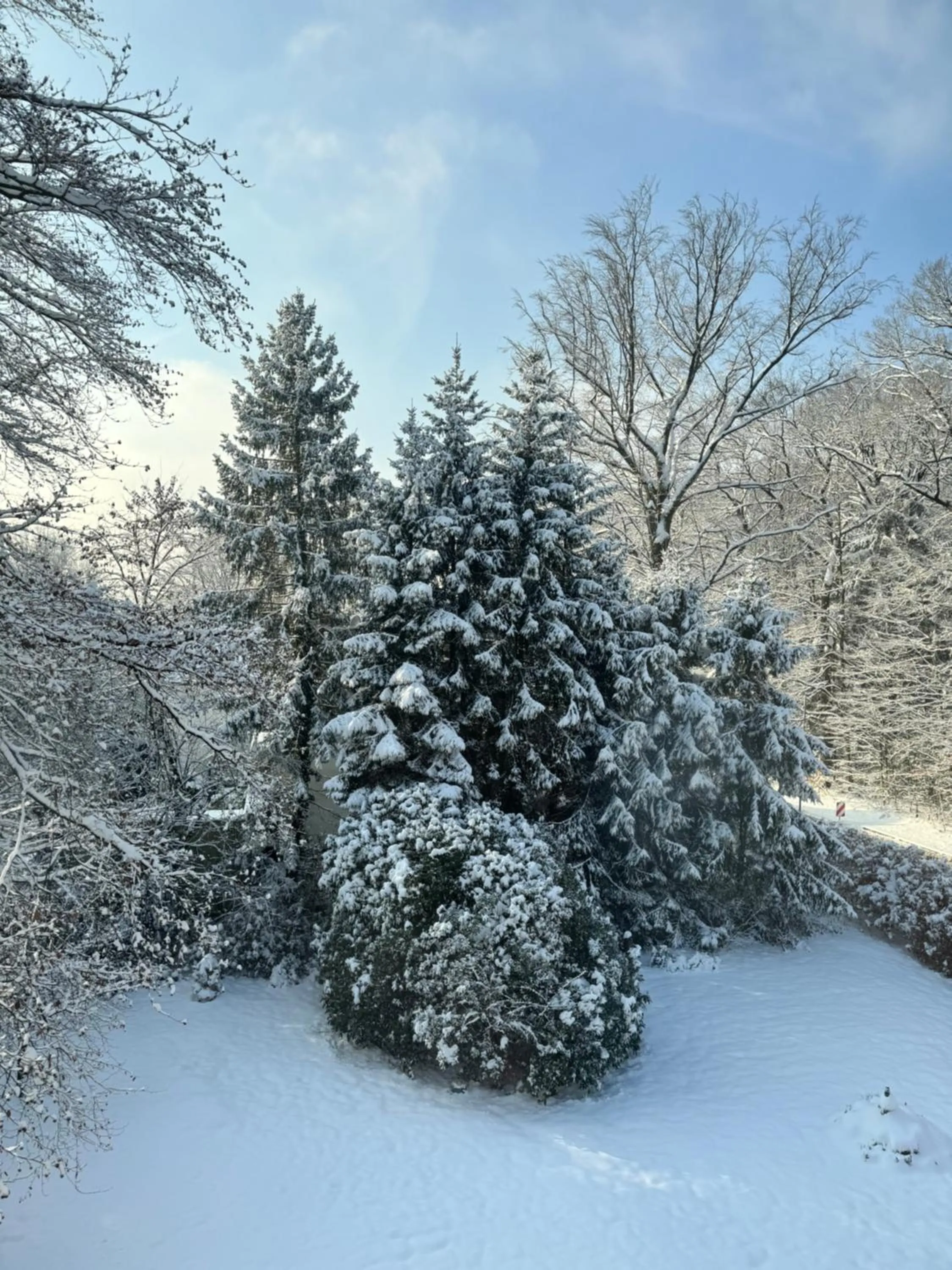 Property building in Wald-Hotel