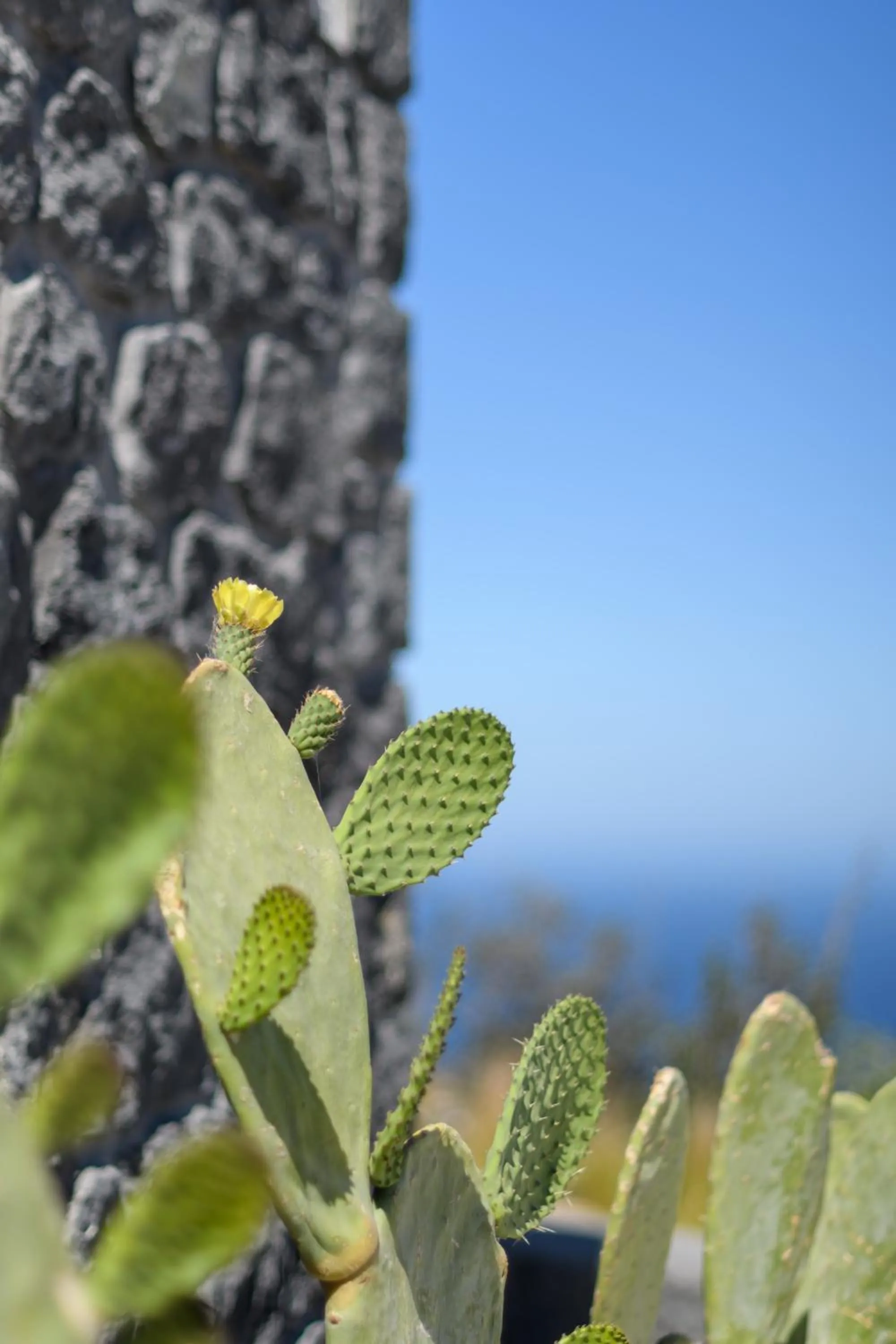 Natural landscape in Lithi Luxury Retreat