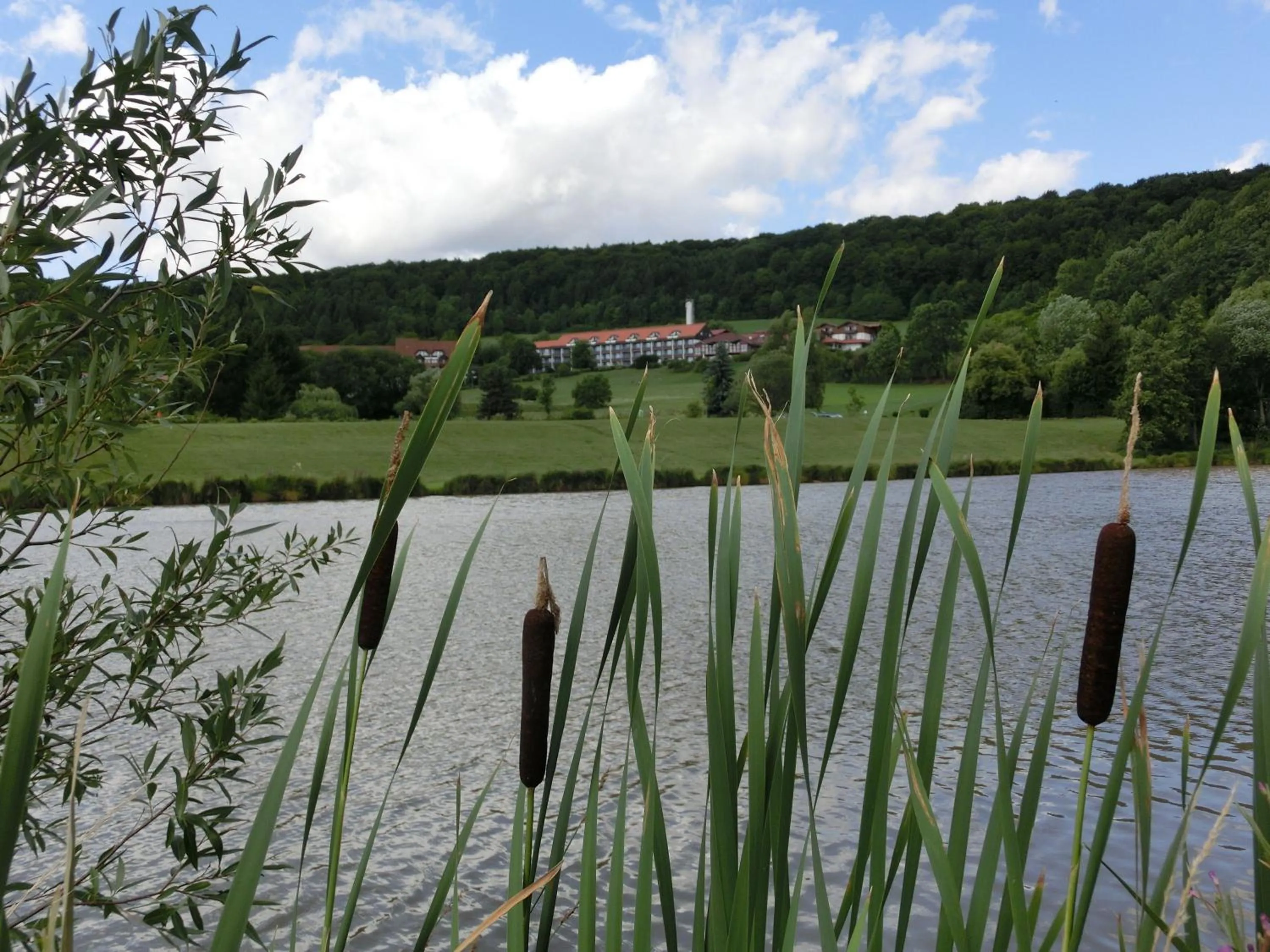 Natural landscape in Hessen Hotelpark Hohenroda