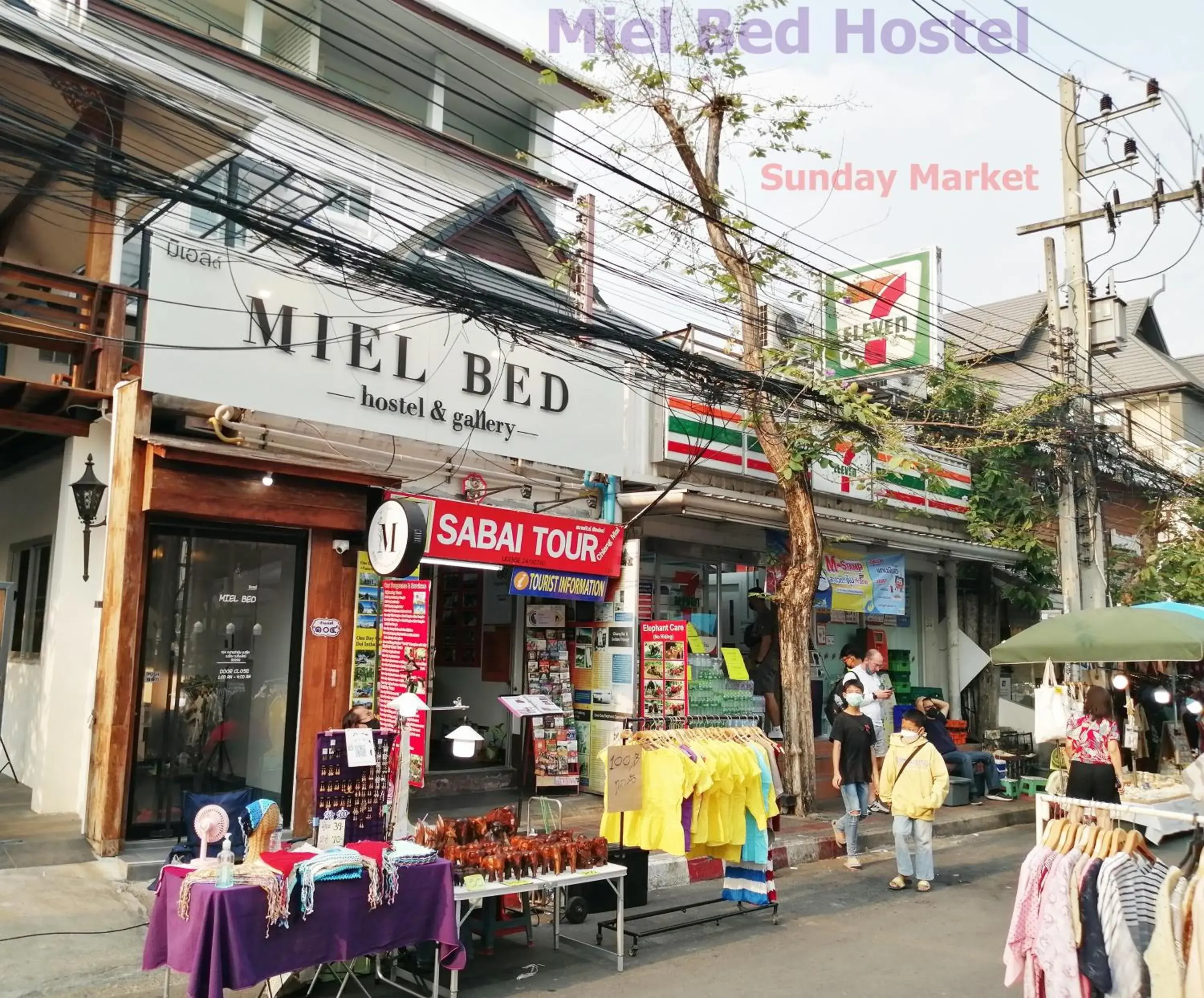 MIEL BED Hostel & Gallery MIEL BED Hostel & Gallery