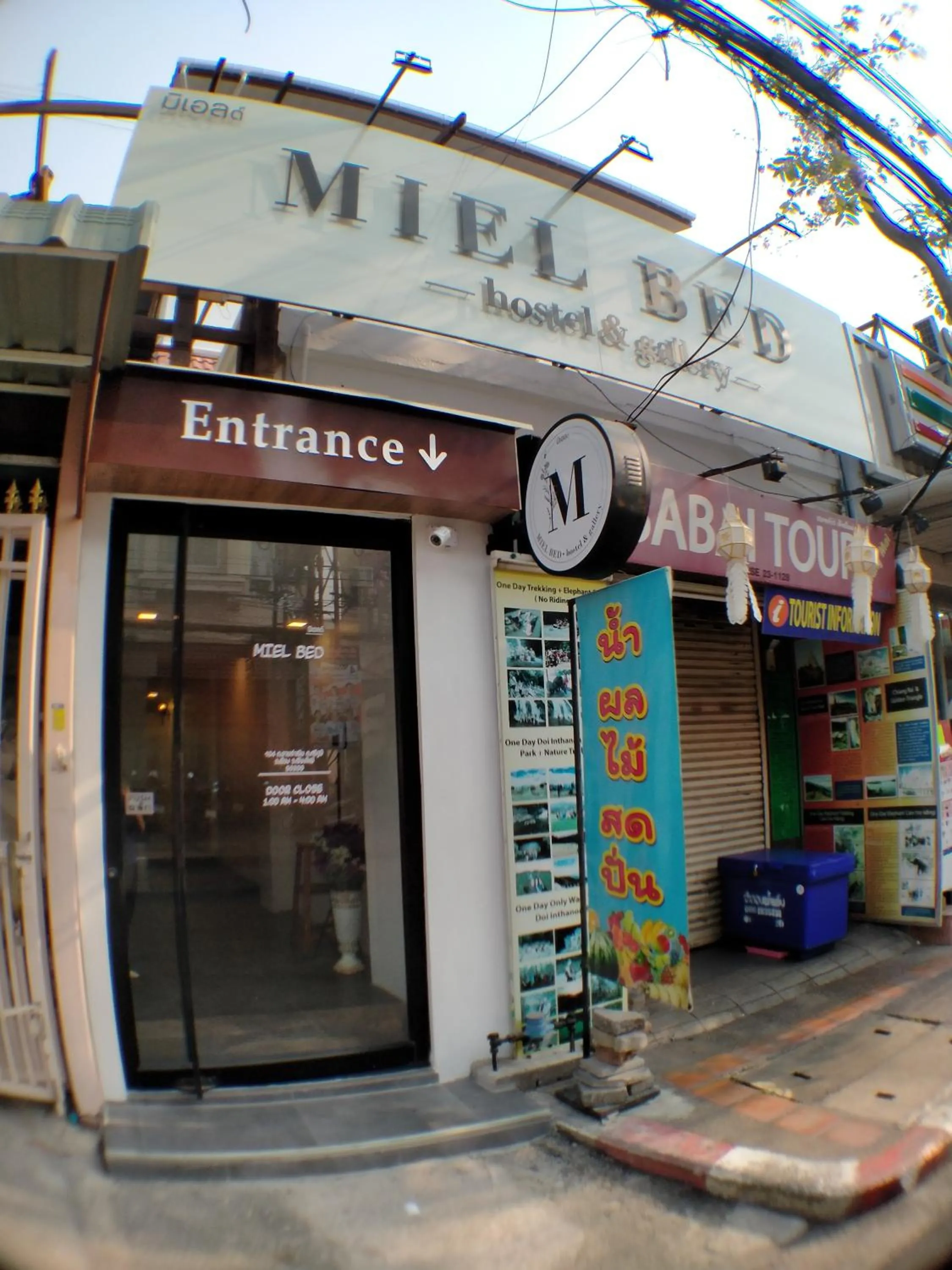 MIEL BED Hostel & Gallery