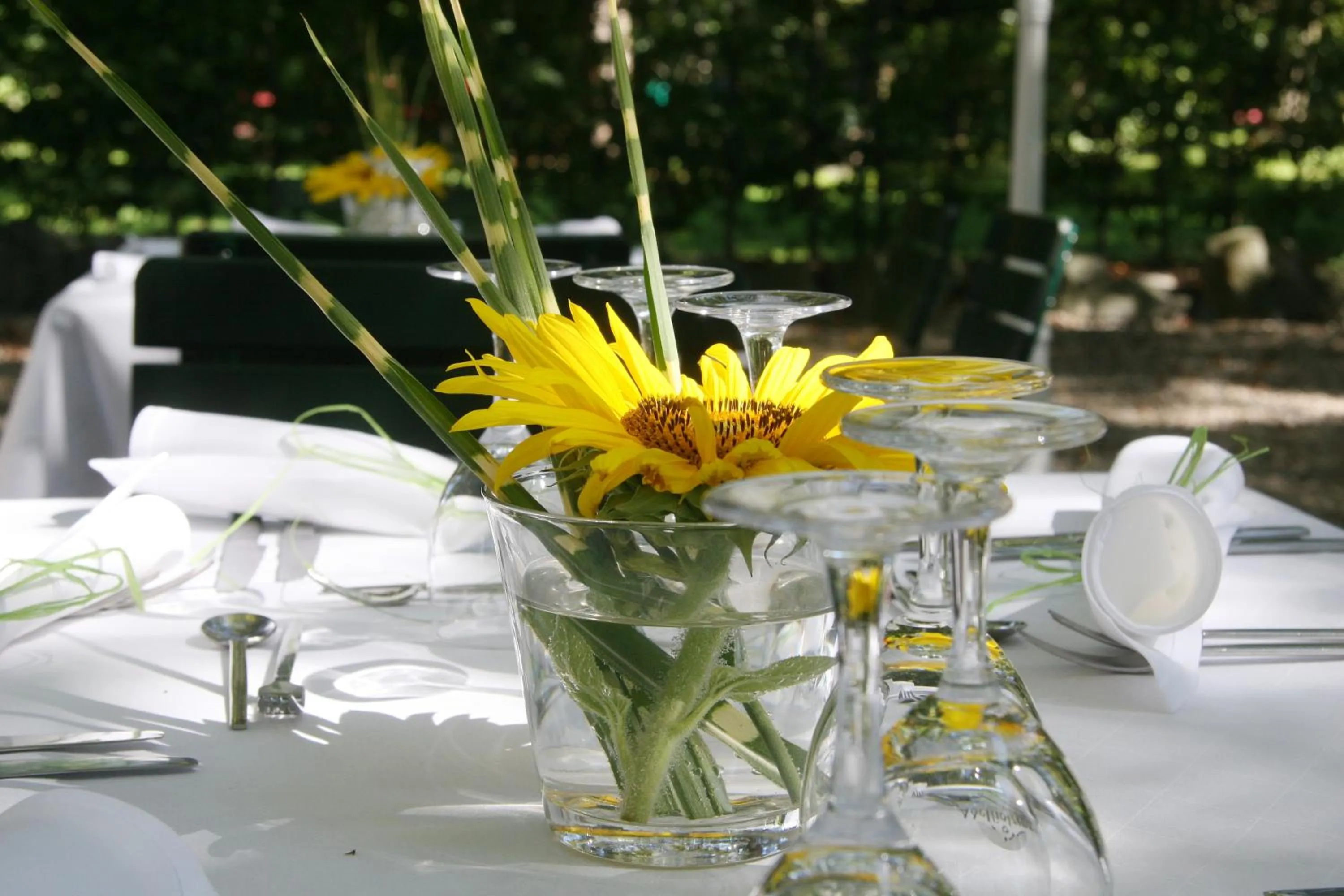 Other in Hotel Gasthof Alte Post