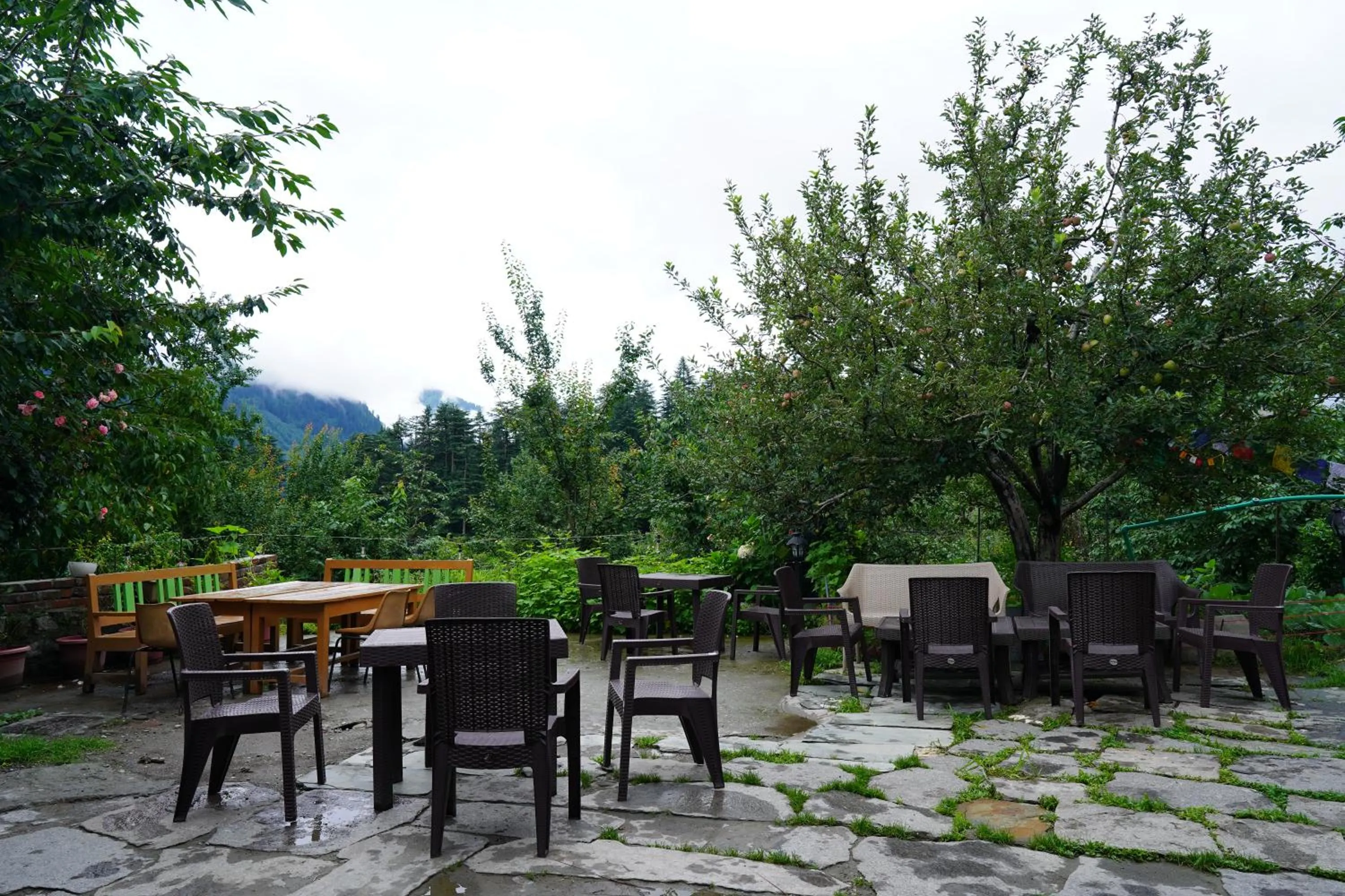 Property building in Jungle by sturmfrei Manali