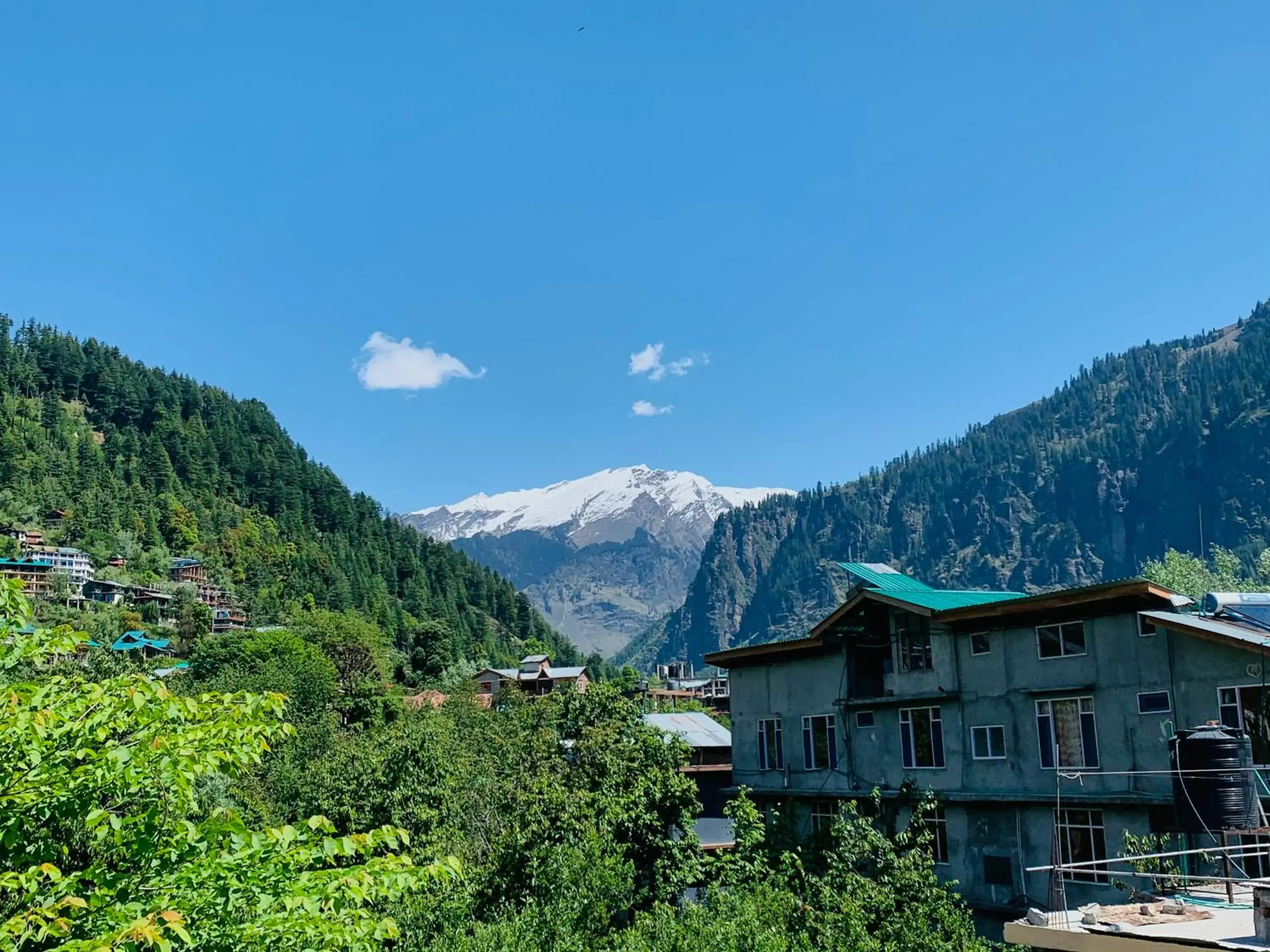 Jungle by sturmfrei Manali Jungle by sturmfrei Manali