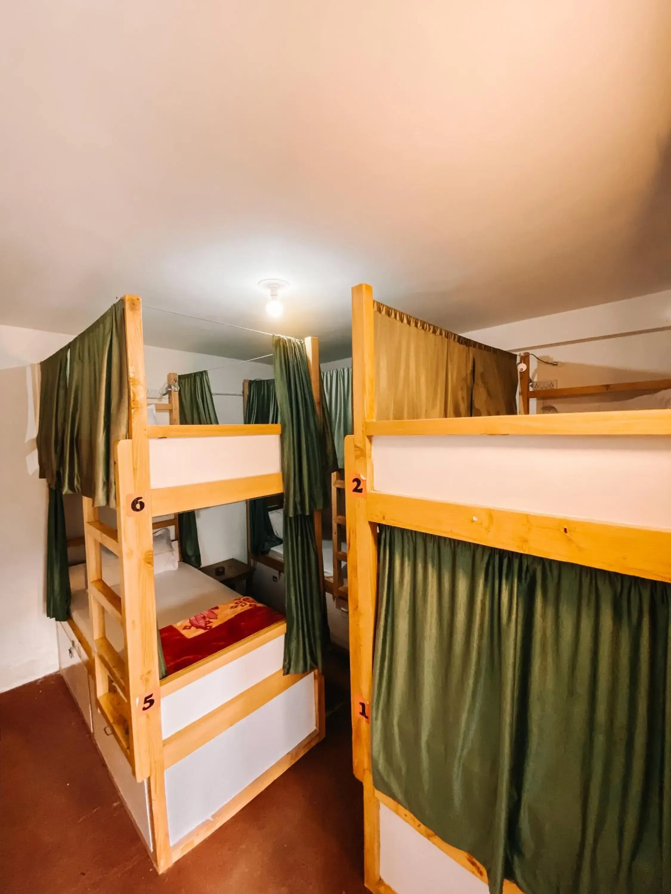 bunk bed in Jungle by sturmfrei Manali bunk bed in Jungle by sturmfrei Manali