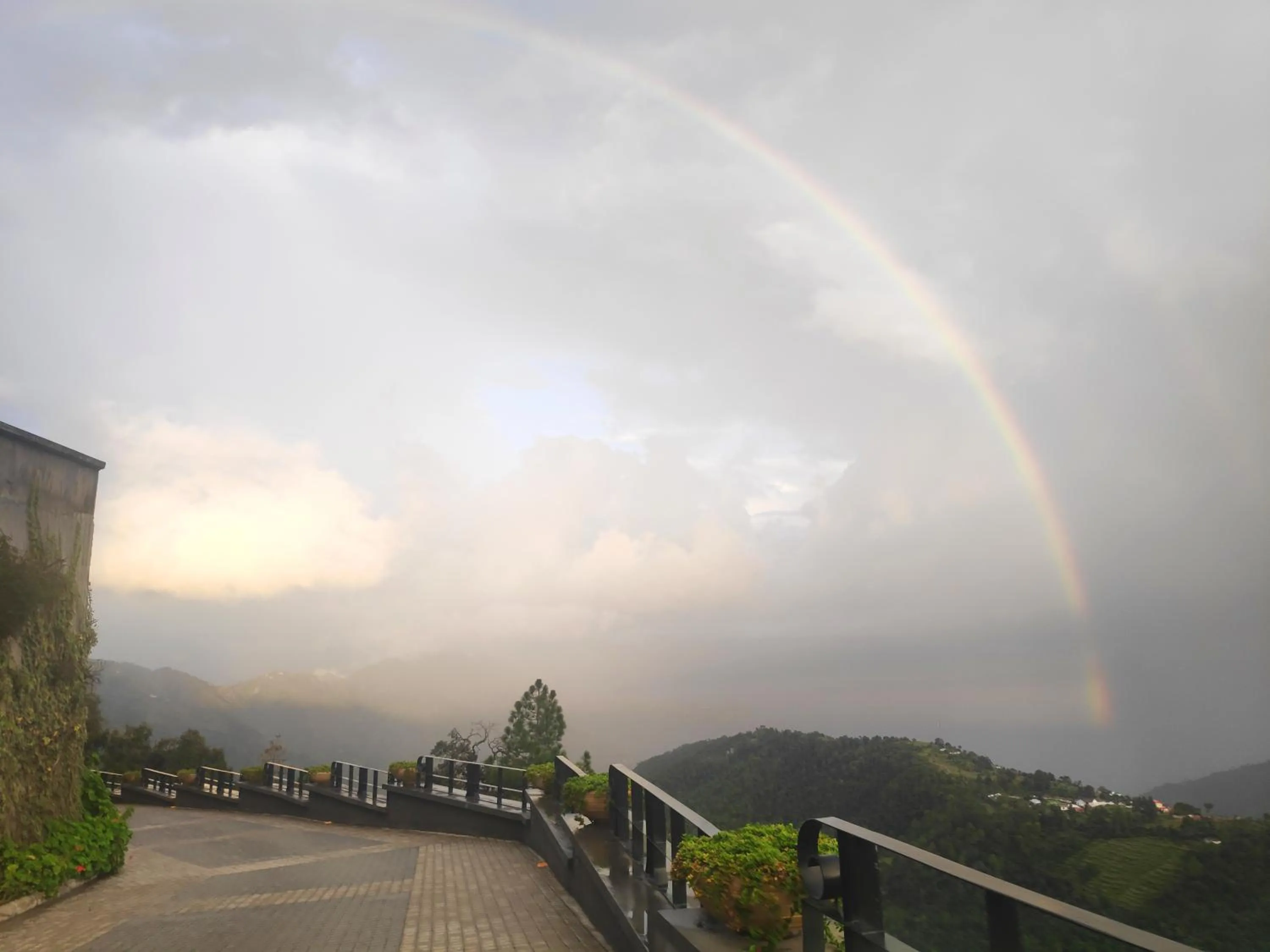 View (from property/room) in Welcomhotel by ITC Hotels, Tavleen, Chail