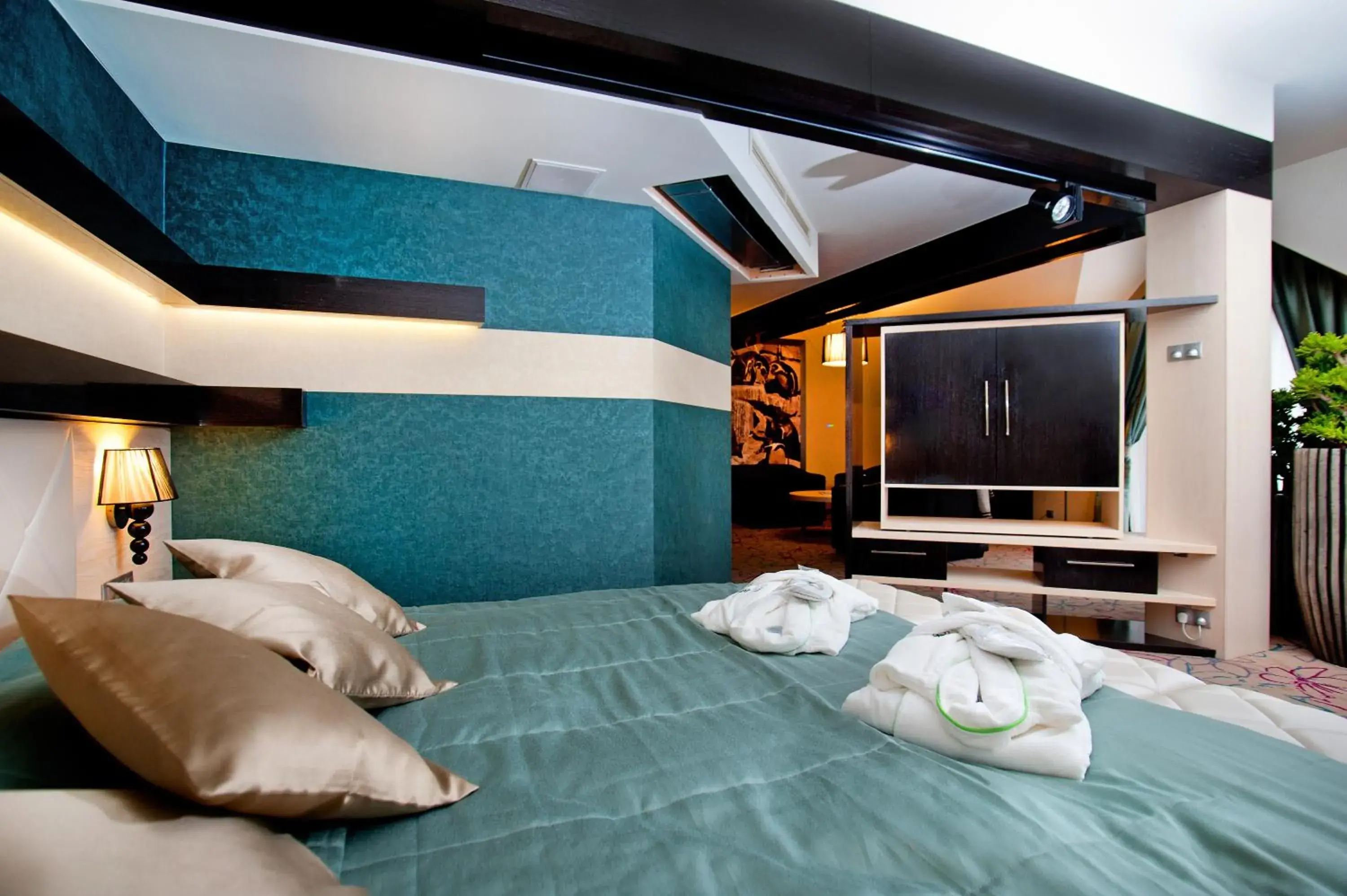 Exclusive Suite in Hotel & SPA Czarny Groń Exclusive Suite in Hotel & SPA Czarny Groń