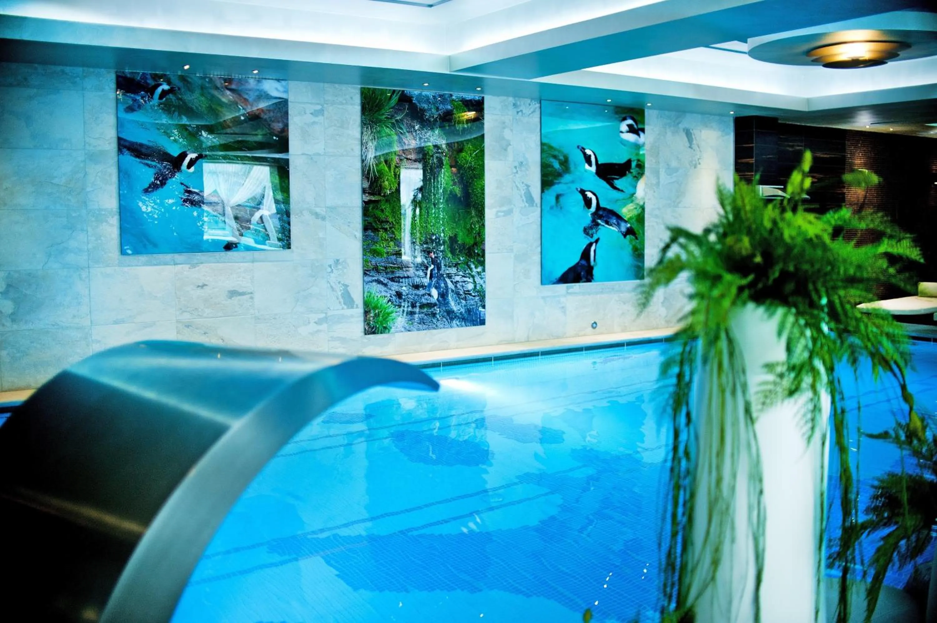 Swimming pool in Hotel & SPA Czarny Groń