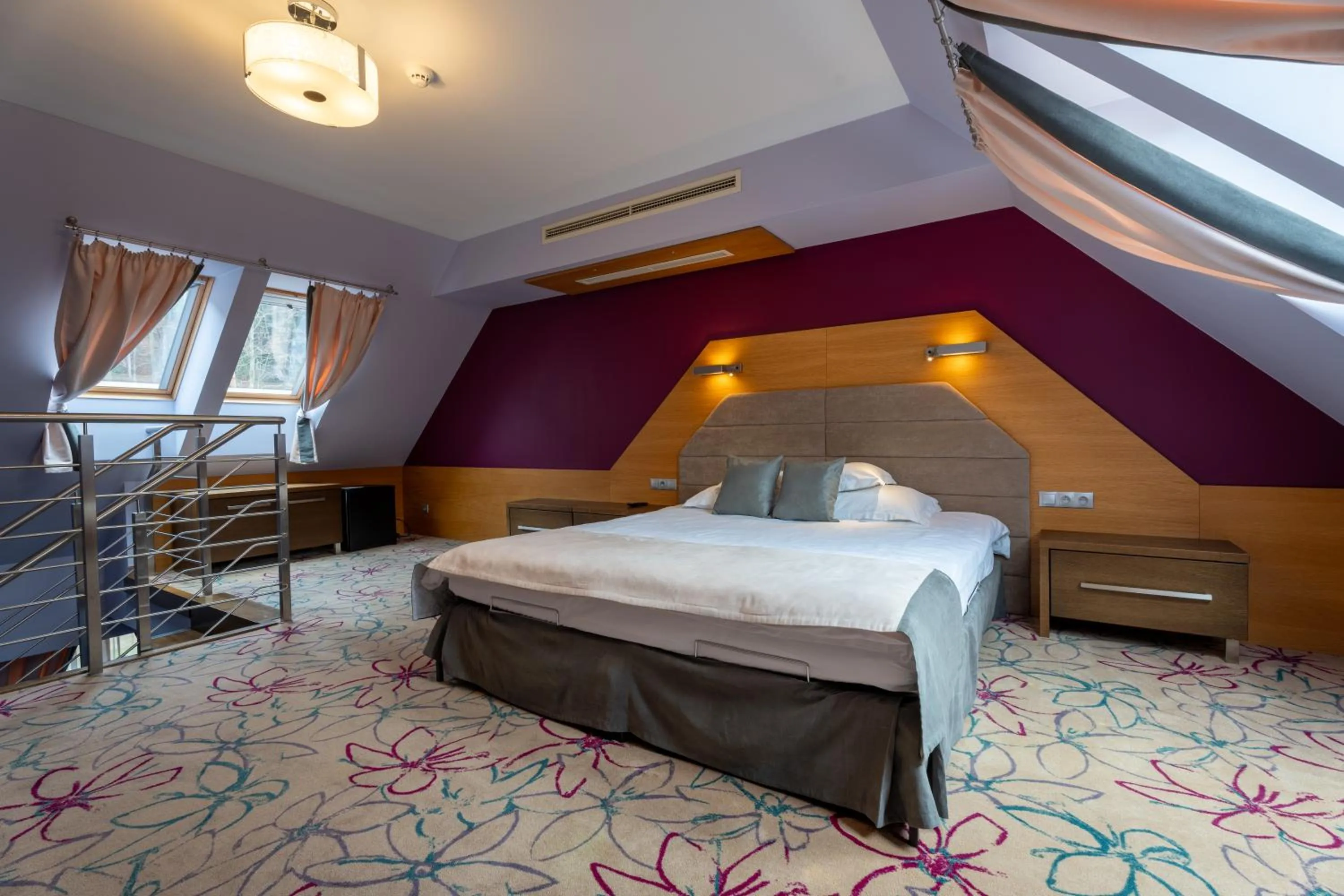 Superior Double or Twin Room in Hotel & SPA Czarny Groń
