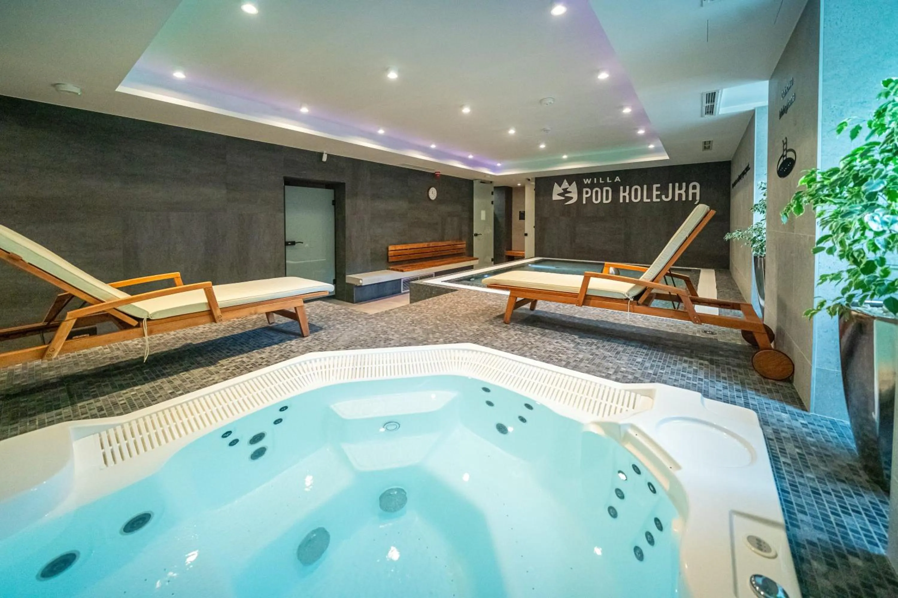Swimming pool in Willa Pod Kolejką