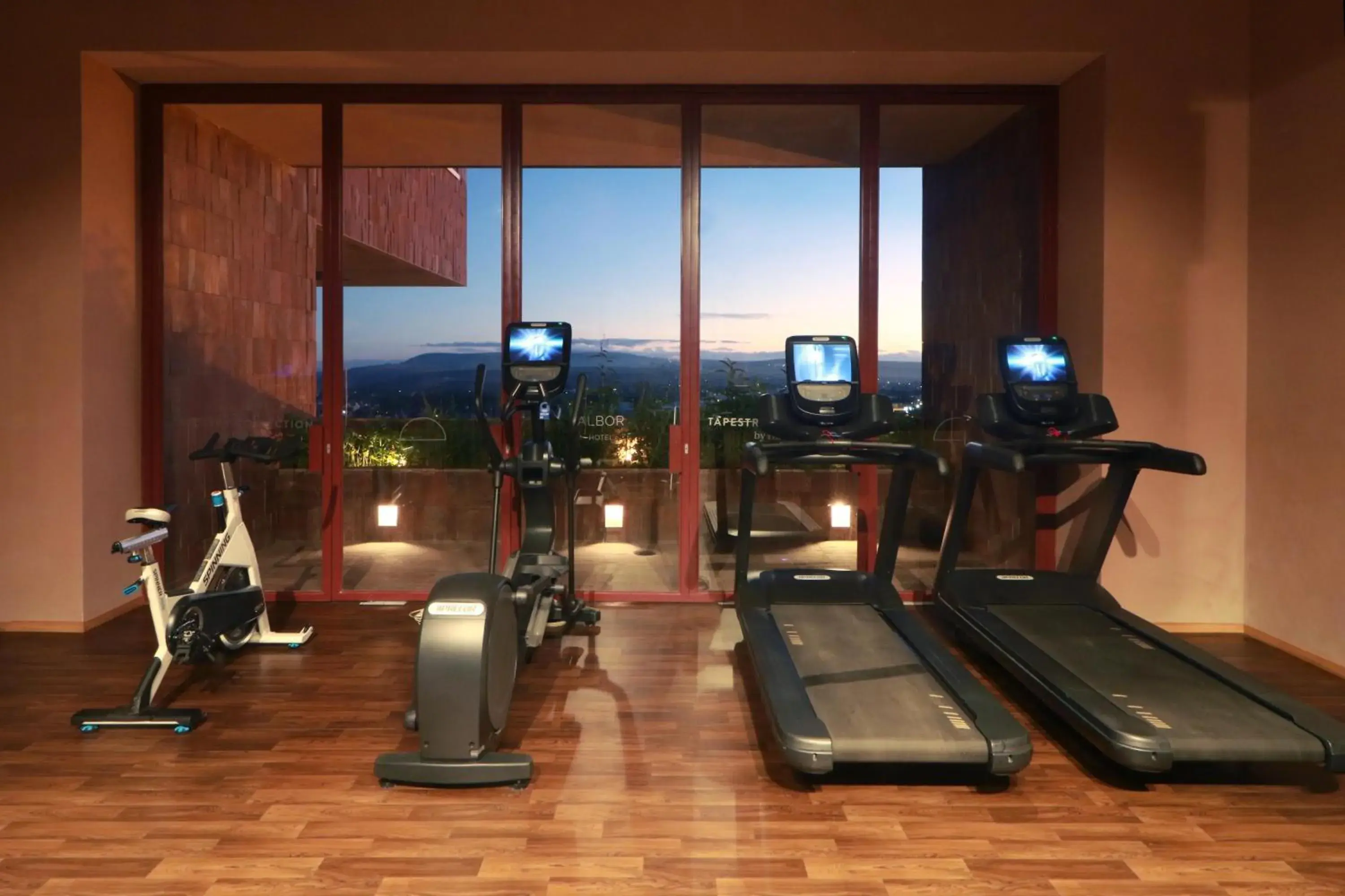 Fitness centre/facilities in Albor San Miguel de Allende, Tapestry Collection by Hilton Fitness centre/facilities in Albor San Miguel de Allende, Tapestry Collection by Hilton