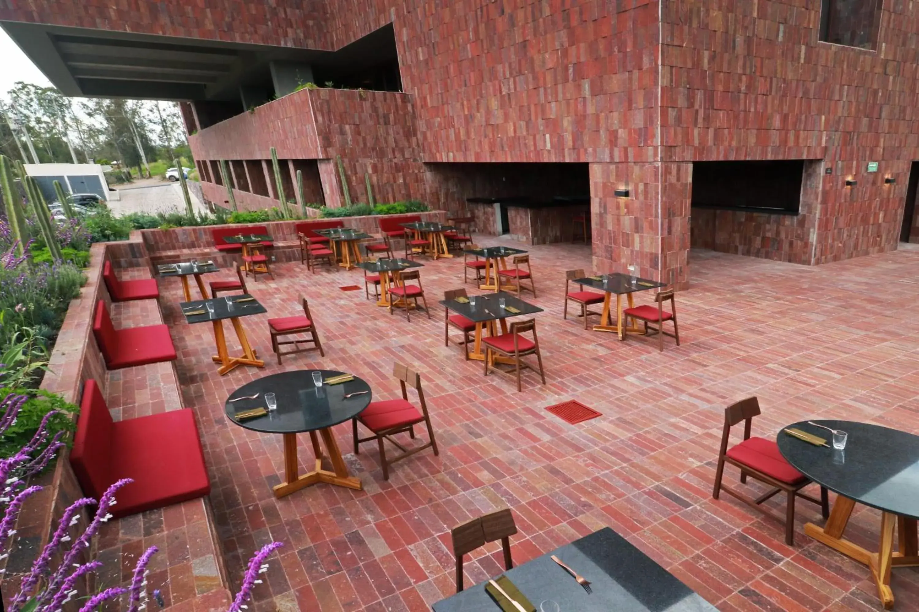 Restaurant/places to eat in Albor San Miguel de Allende, Tapestry Collection by Hilton Restaurant/places to eat in Albor San Miguel de Allende, Tapestry Collection by Hilton