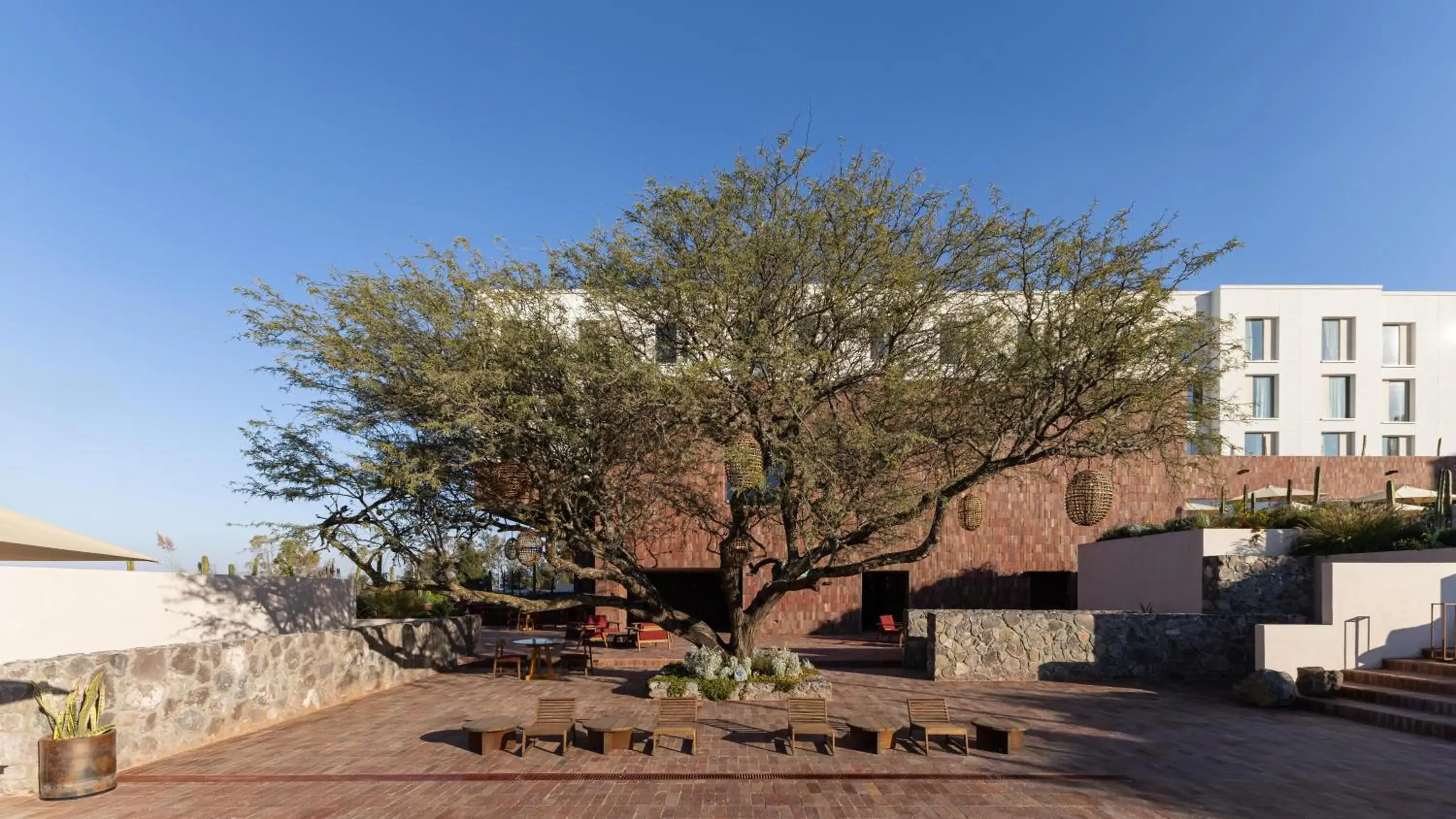 Property building in Albor San Miguel de Allende, Tapestry Collection by Hilton Property building in Albor San Miguel de Allende, Tapestry Collection by Hilton