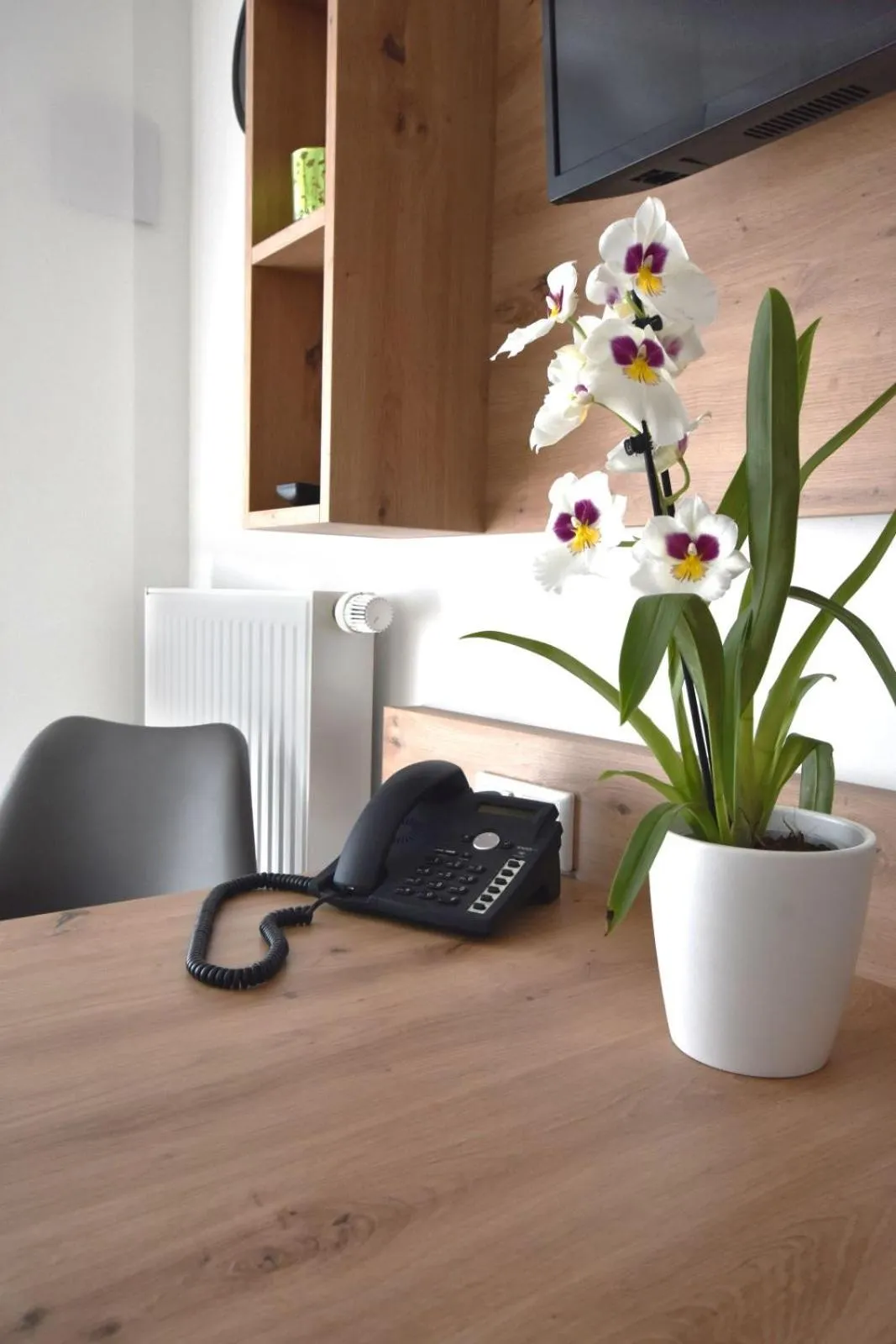 TV and multimedia in Boardinghouse Henschelstraße