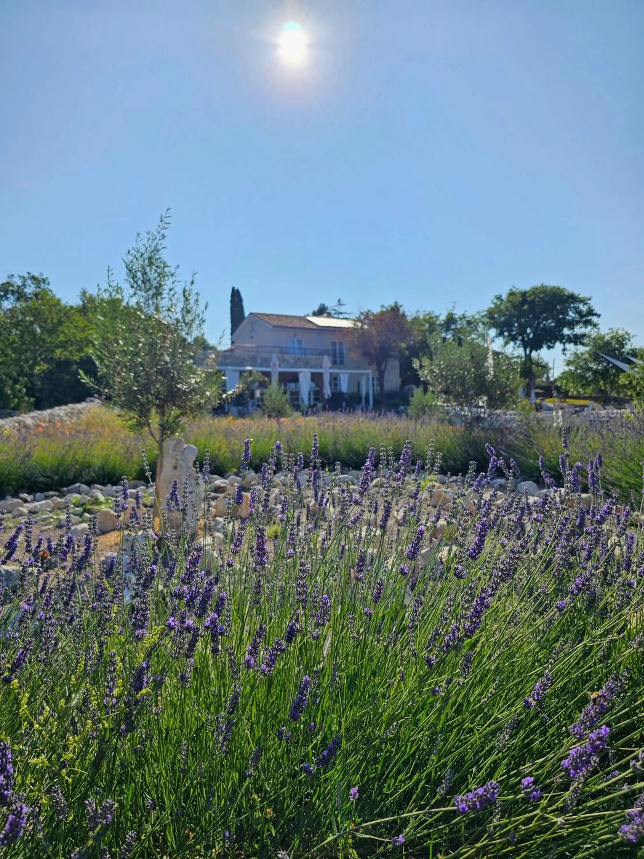 Spring in Boutique Resort OSMA - Adults Only