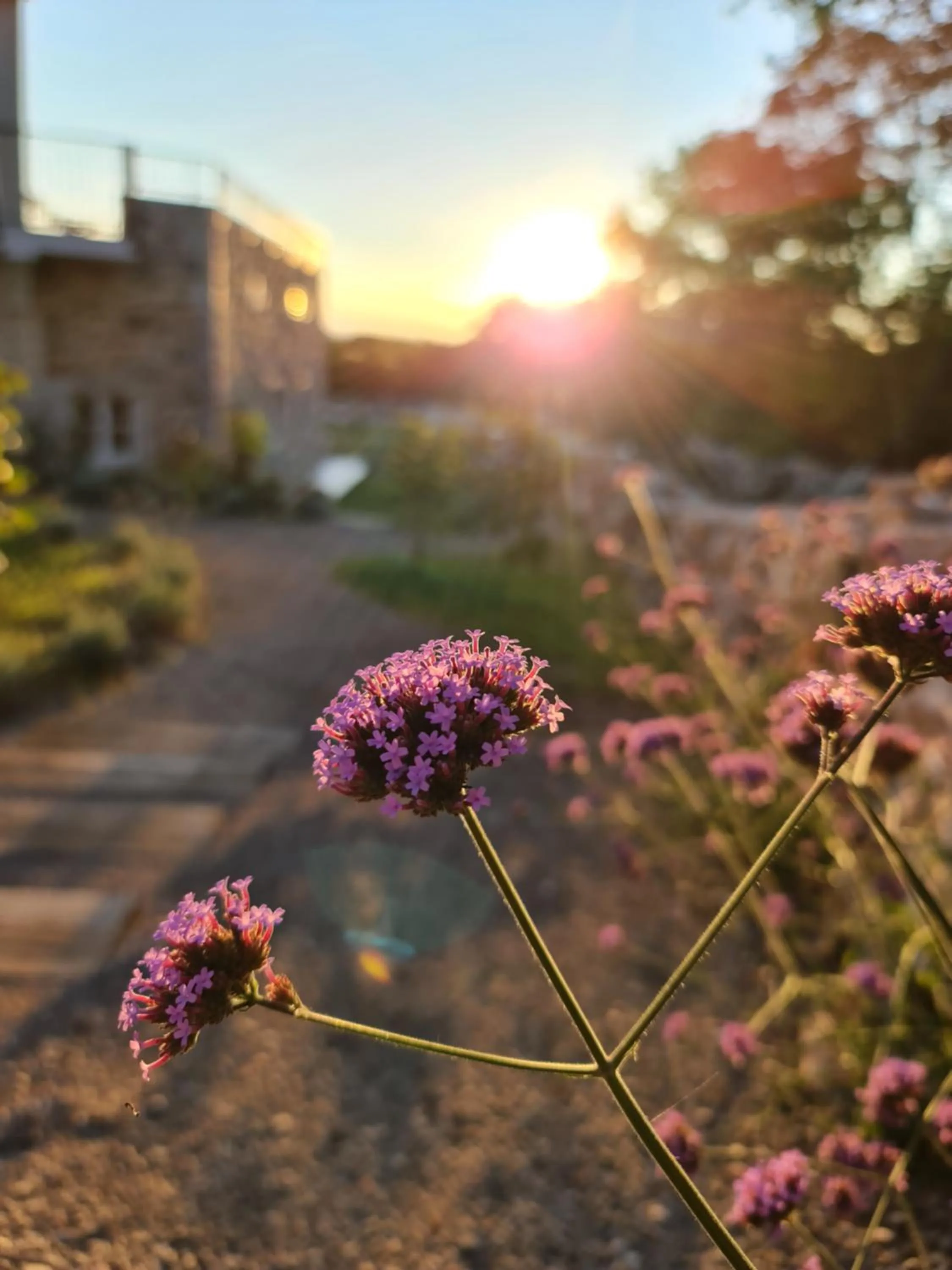 Garden in Boutique Resort OSMA - Adults Only