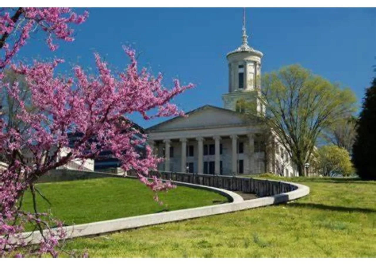 Other in TownePlace Suites by Marriott Nashville Midtown