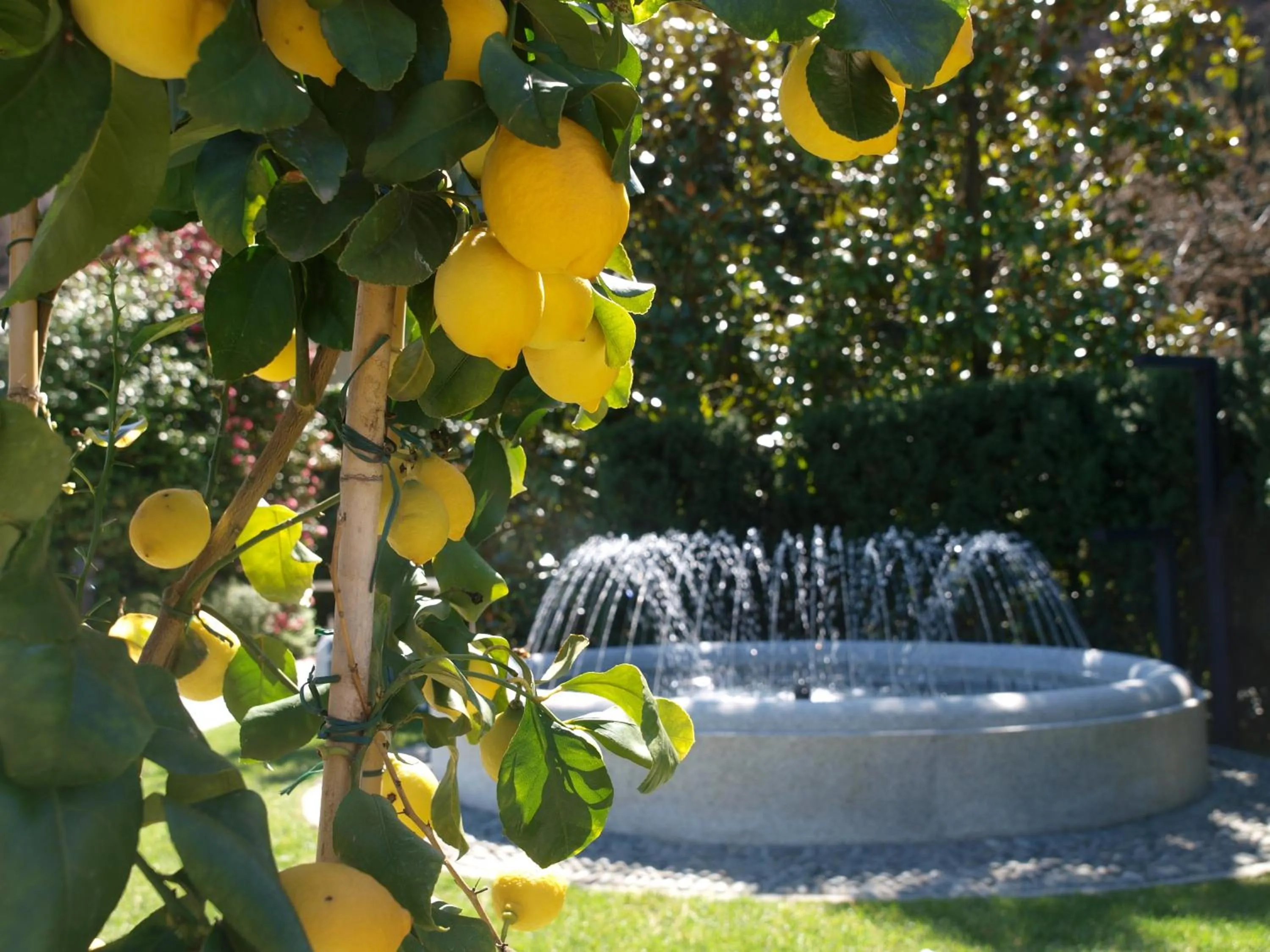 Property building in Park Hotel Villa Belvedere