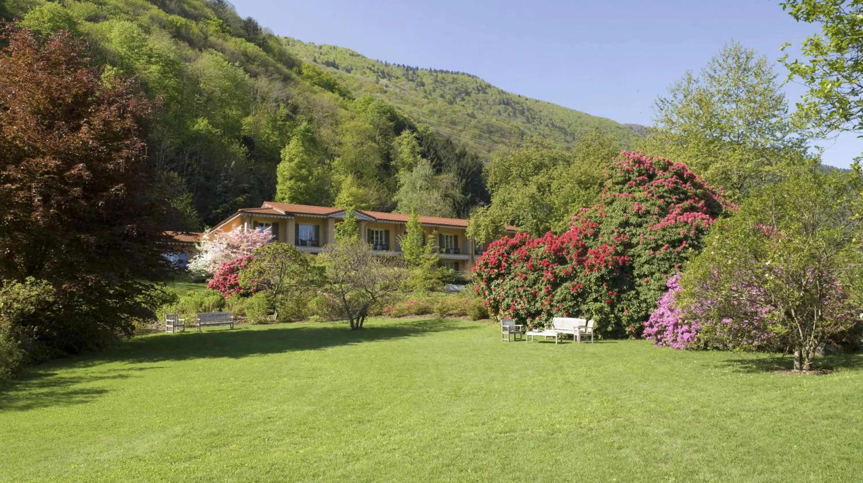 Garden in Park Hotel Villa Belvedere