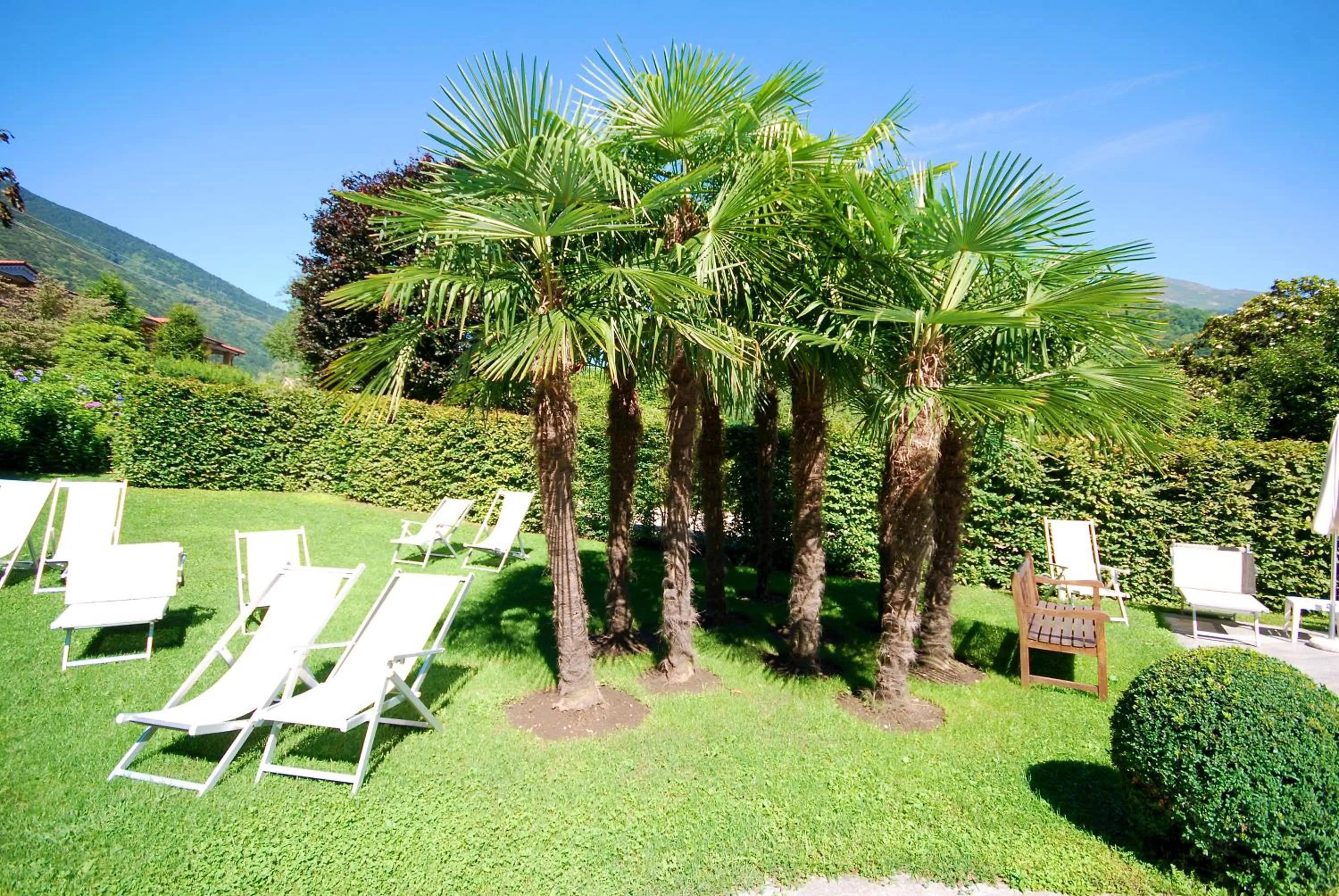 Garden in Park Hotel Villa Belvedere