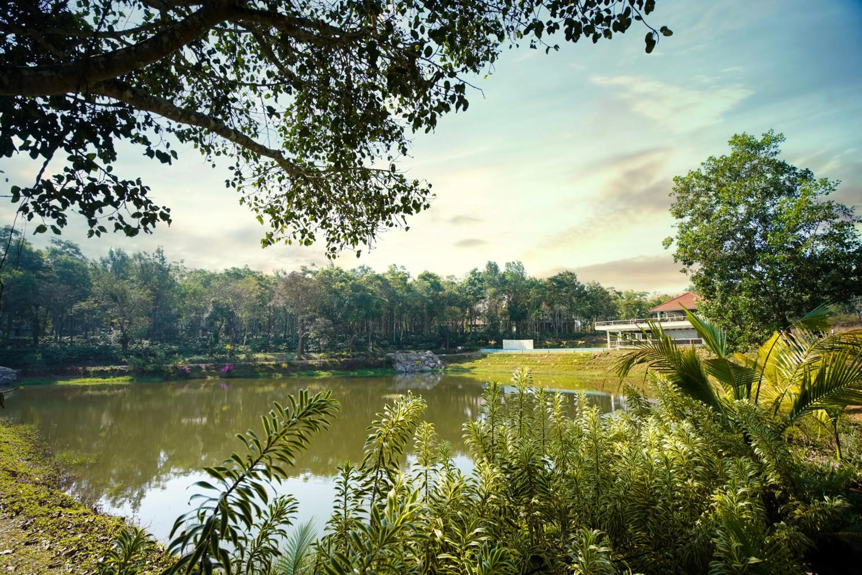 View (from property/room) in Rosetta Sakleshpur