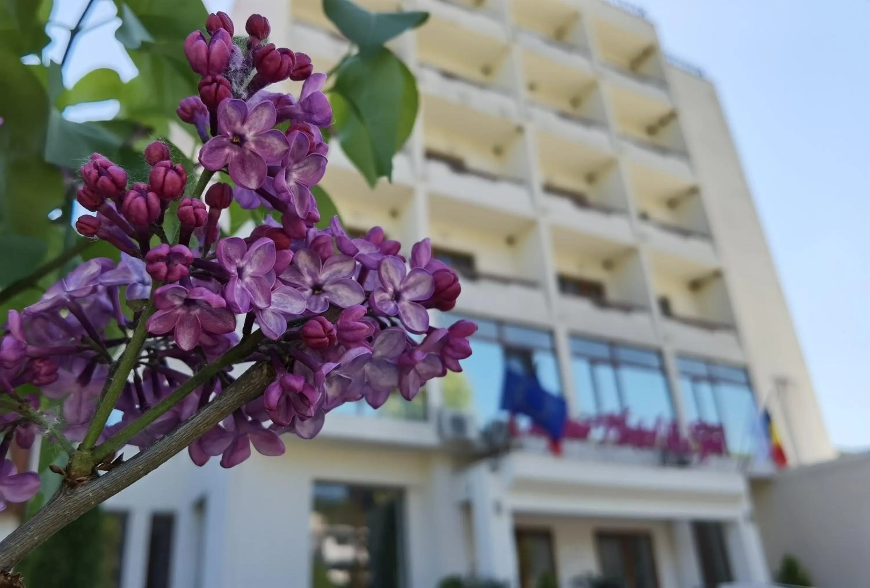 Hotel Spa Cazino Monteoru