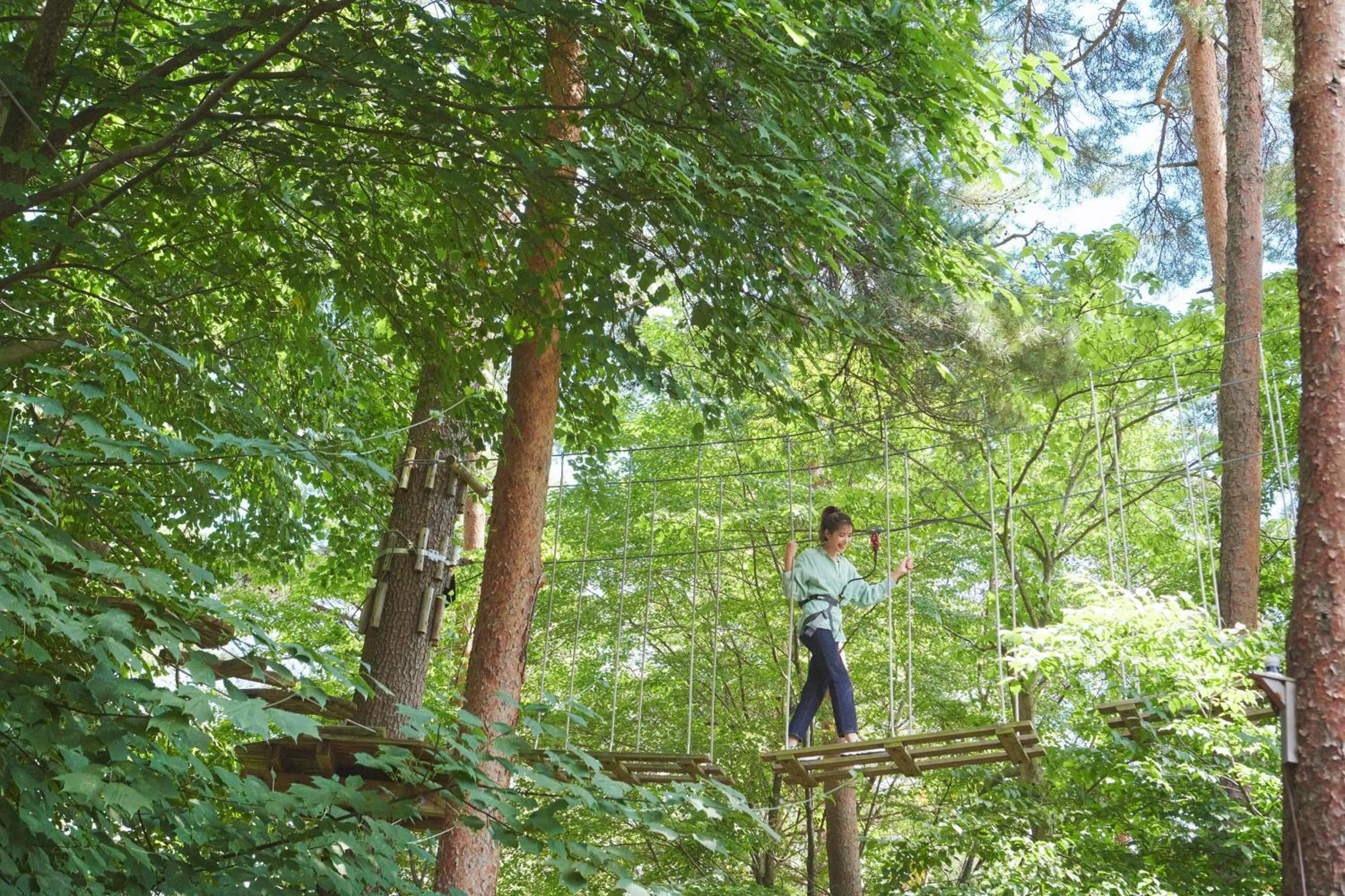 RISONARE Yatsugatake