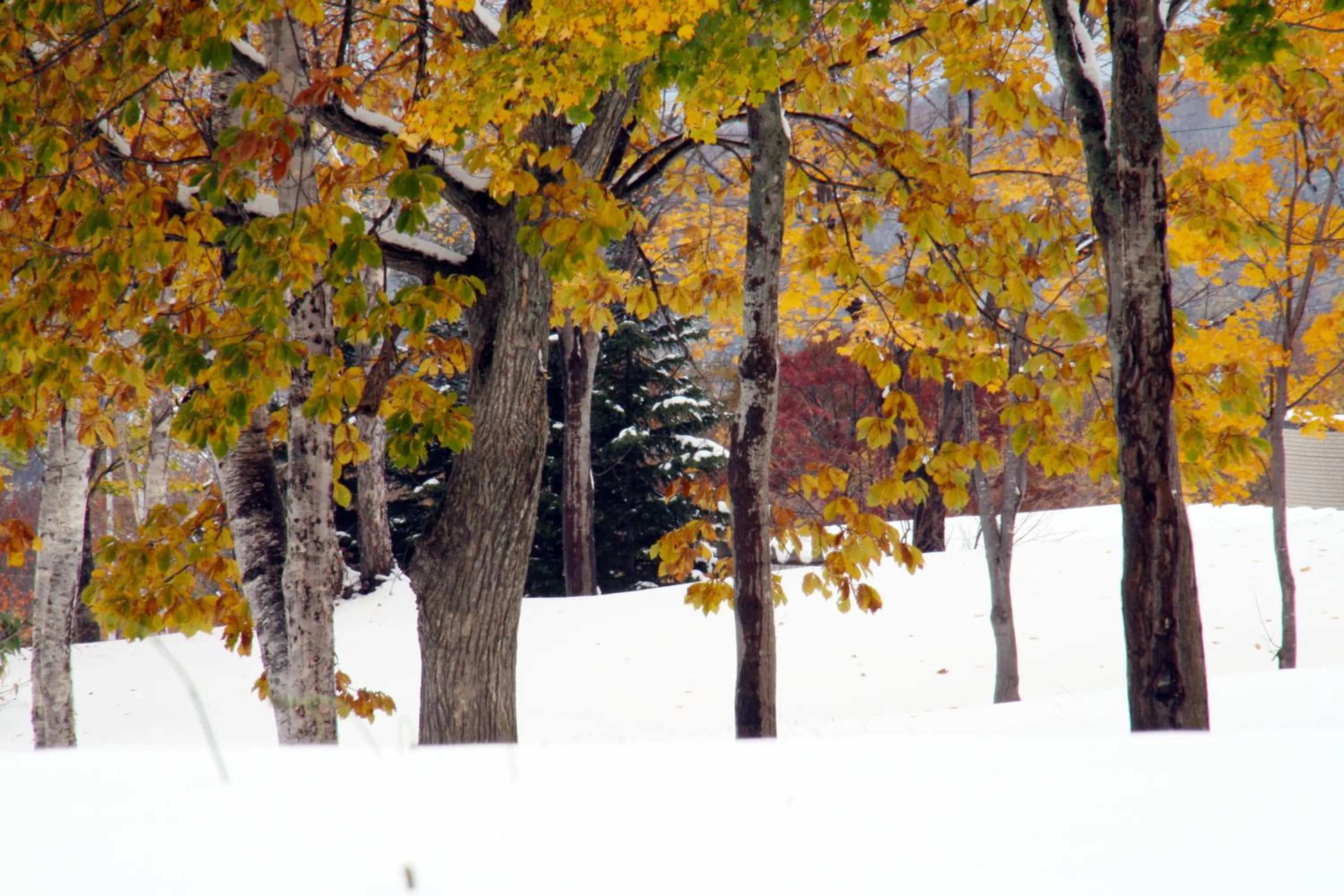 Nearby landmark in Niseko Northern Resort, An'nupuri