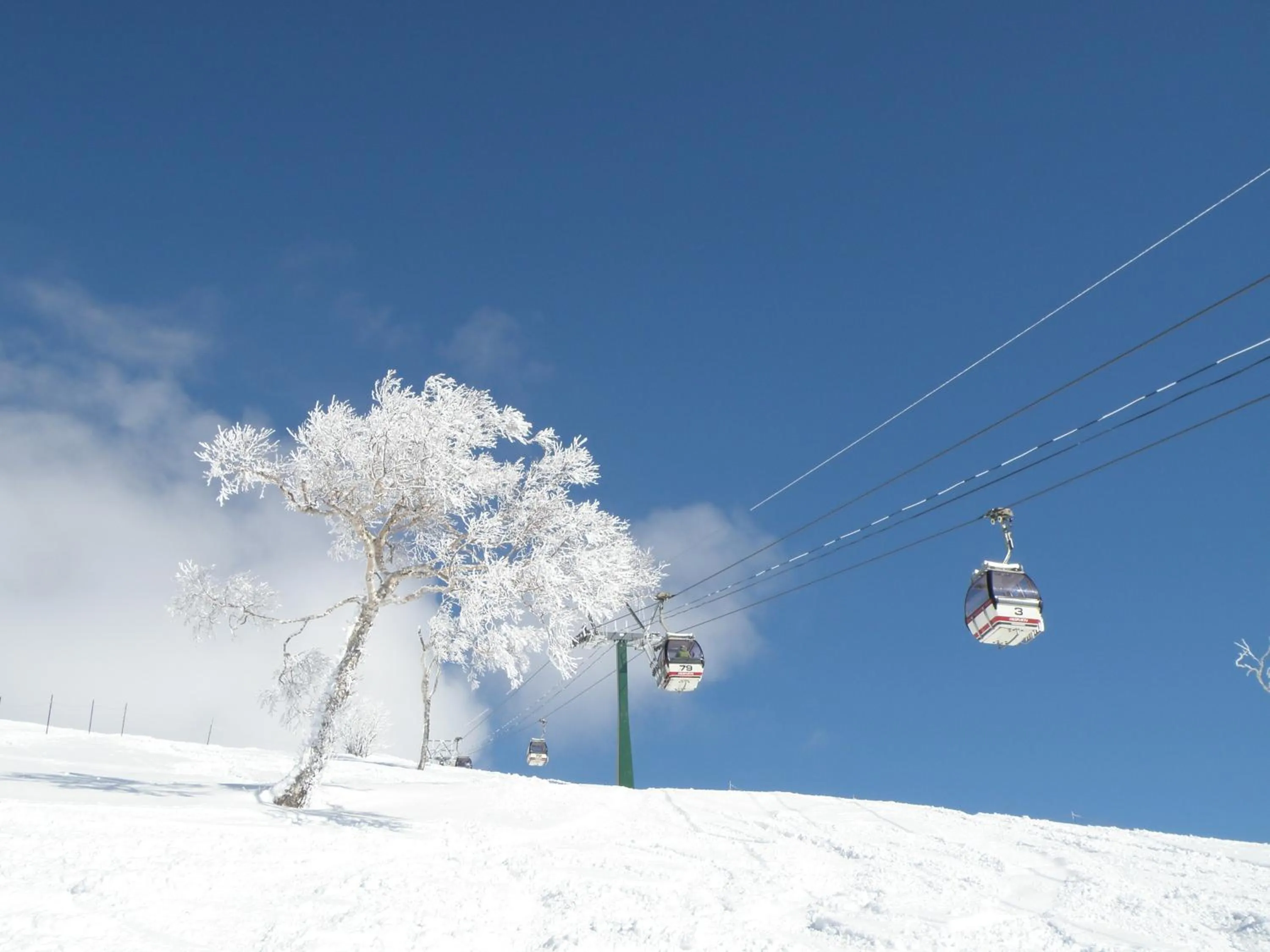 Winter in Niseko Northern Resort, An'nupuri