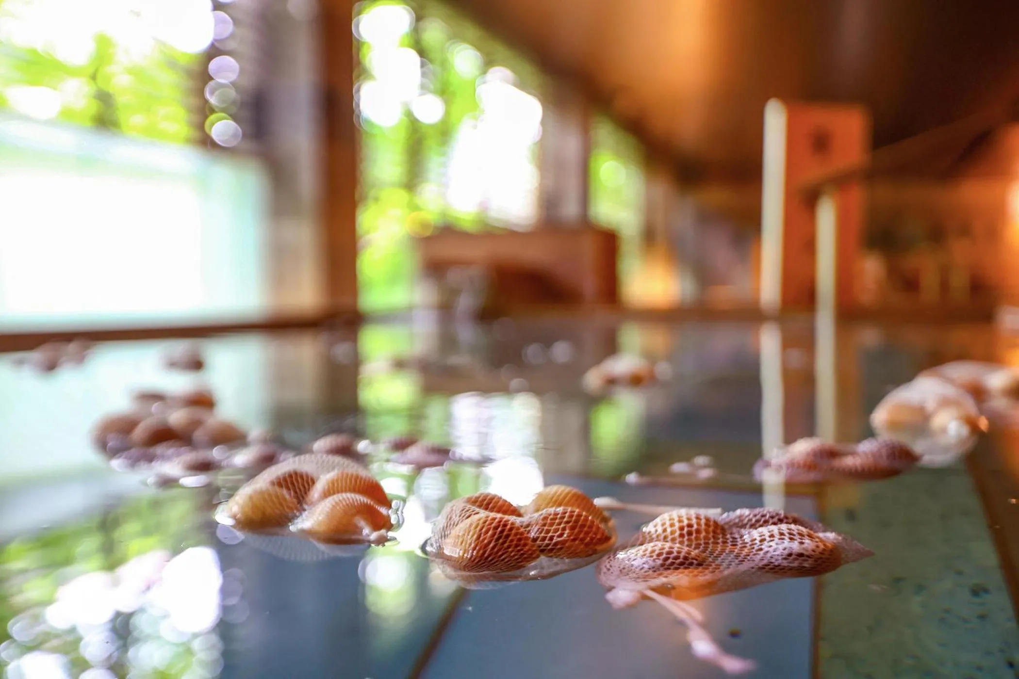 Public Bath in Ooedo Onsen Monogatari Premium Kinugawa Kanko Hotel