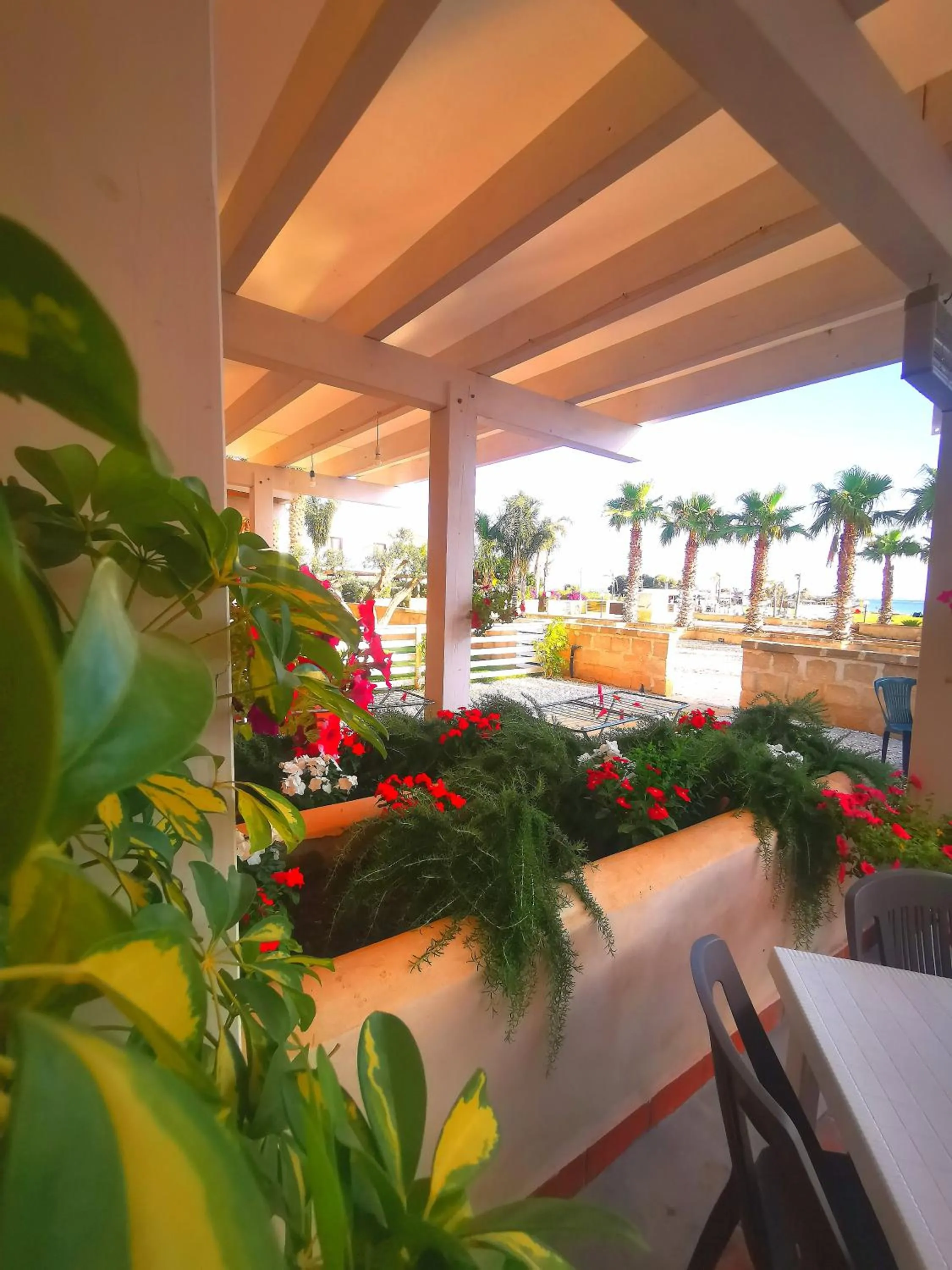 Restaurant/places to eat in Kite Hub Lo Stagnone