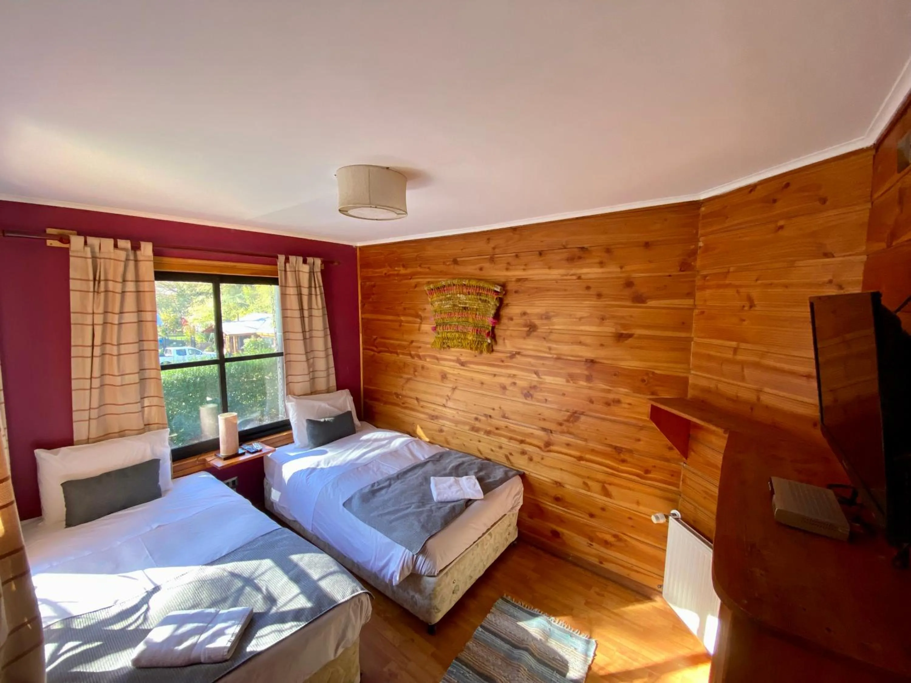 Double or Twin Room in Hotel Andes Pucón