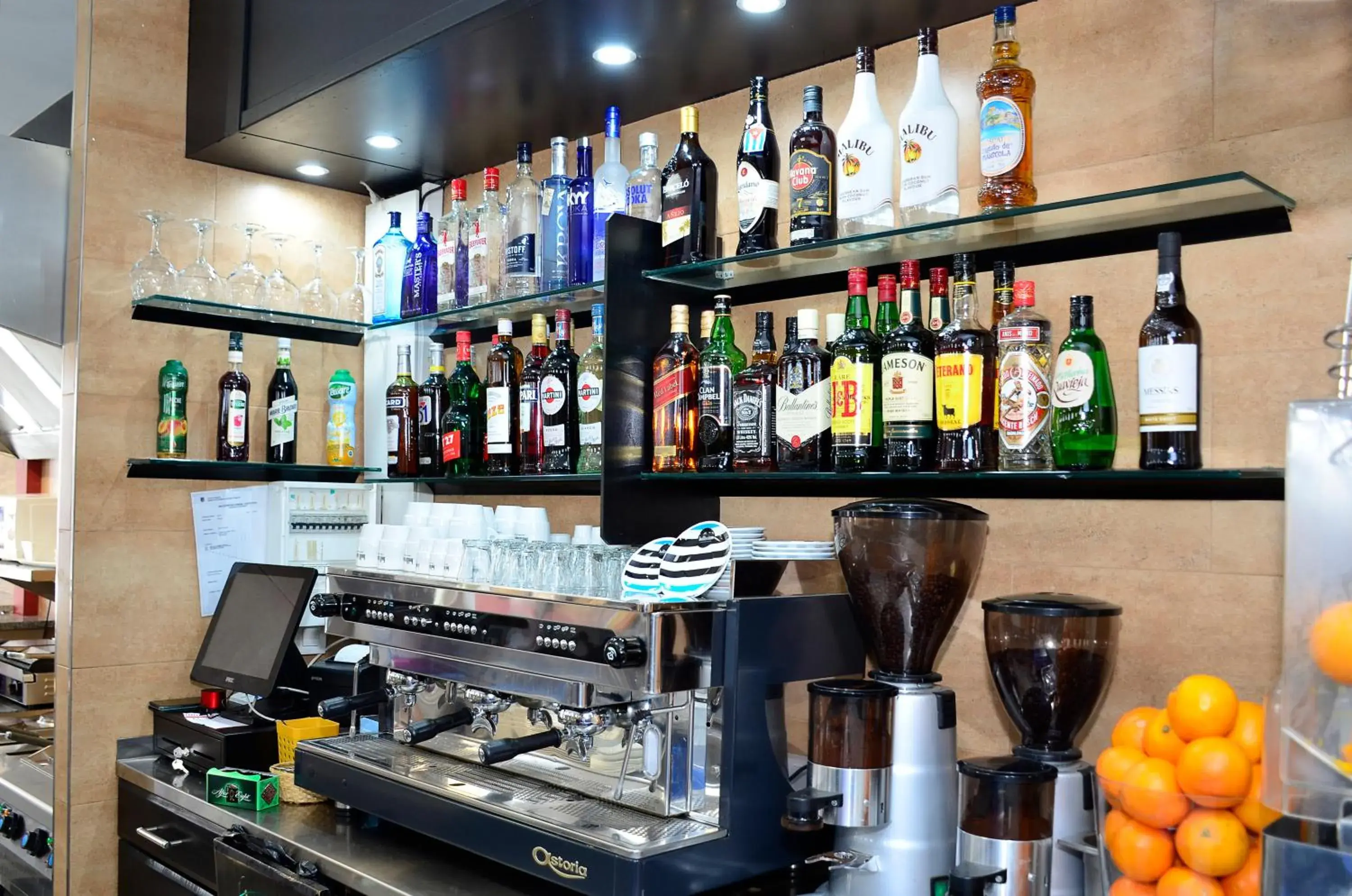 Lounge or bar in Hotel Terranova Lounge or bar in Hotel Terranova