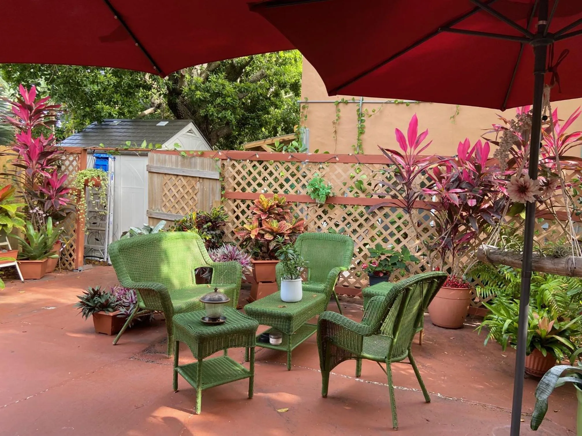 Garden in Mermaid's Cottage