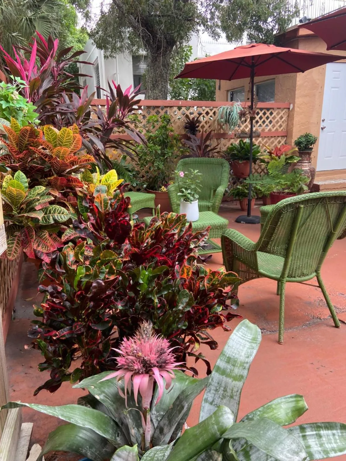 Patio in Mermaid's Cottage