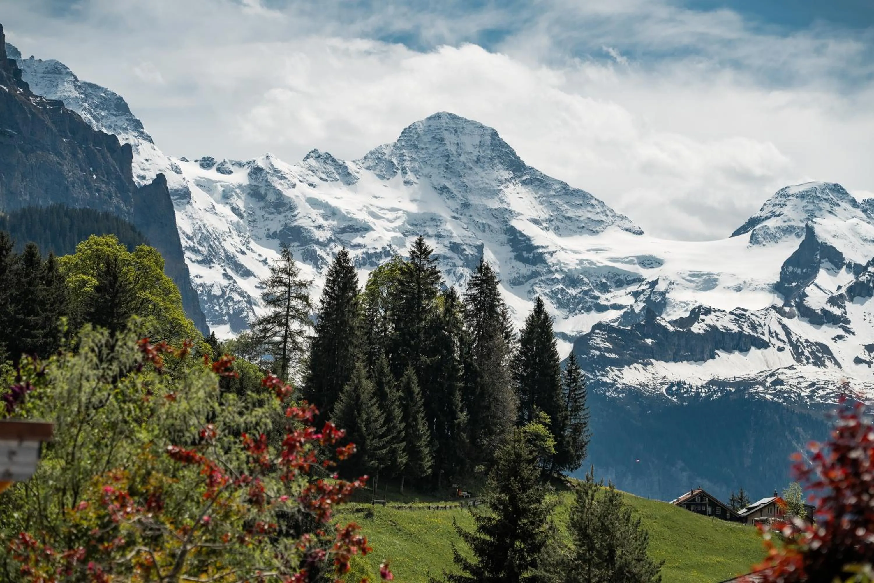 Spring in Braunbär Hotel & Spa