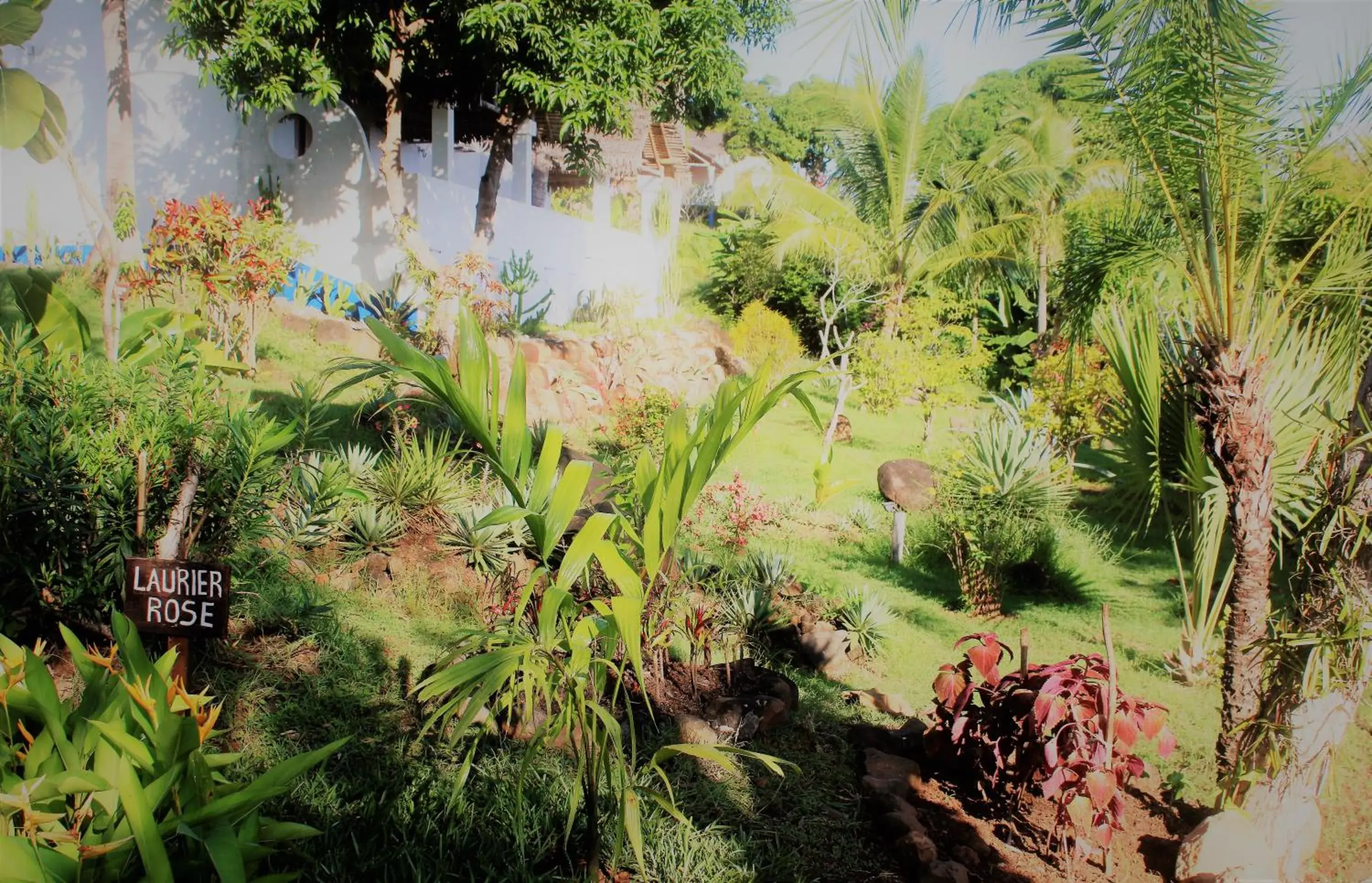 Family bungalow with Sea View in Le Grand Bleu Family bungalow with Sea View in Le Grand Bleu